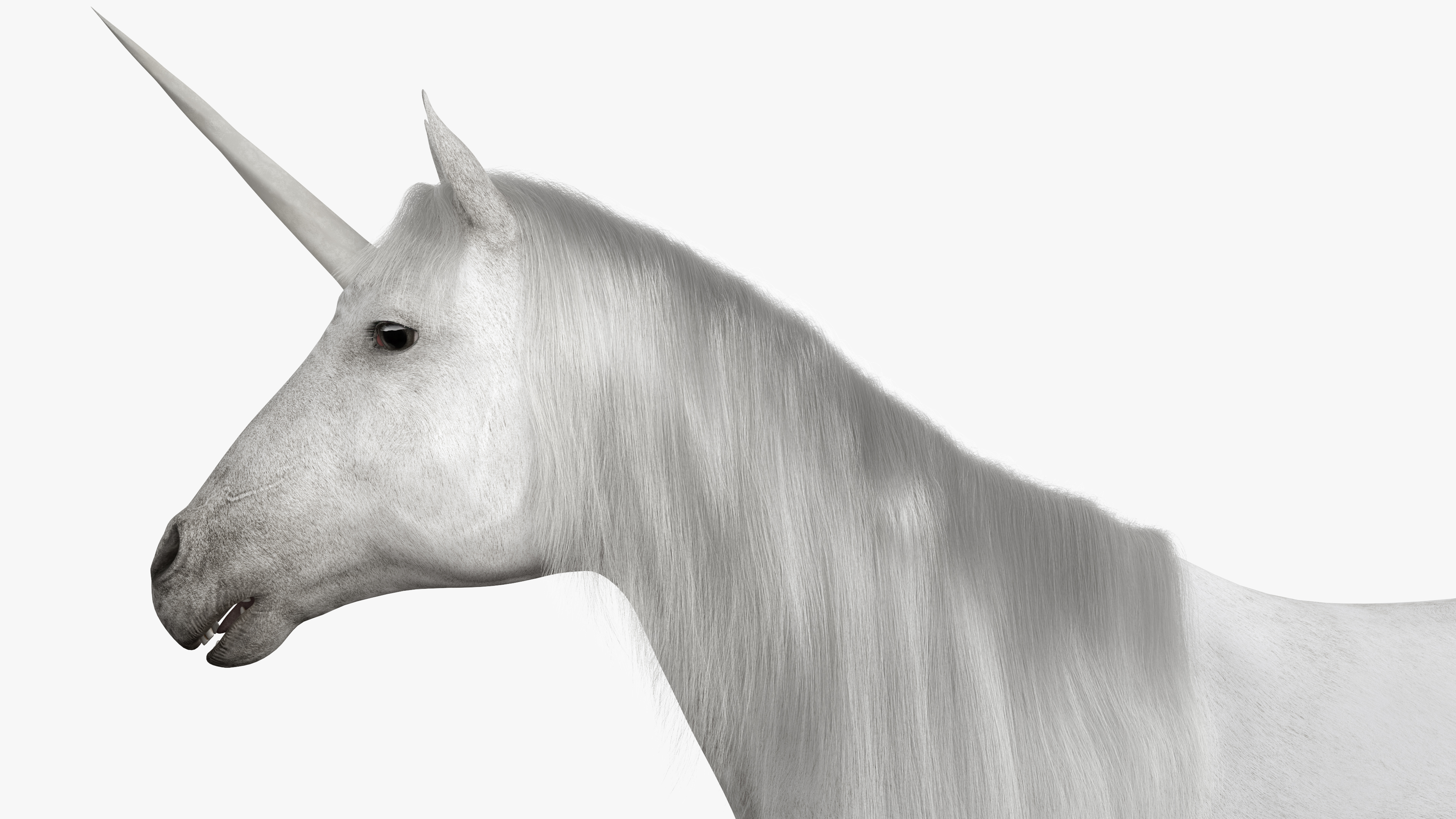 White Unicorn with Fur 3D