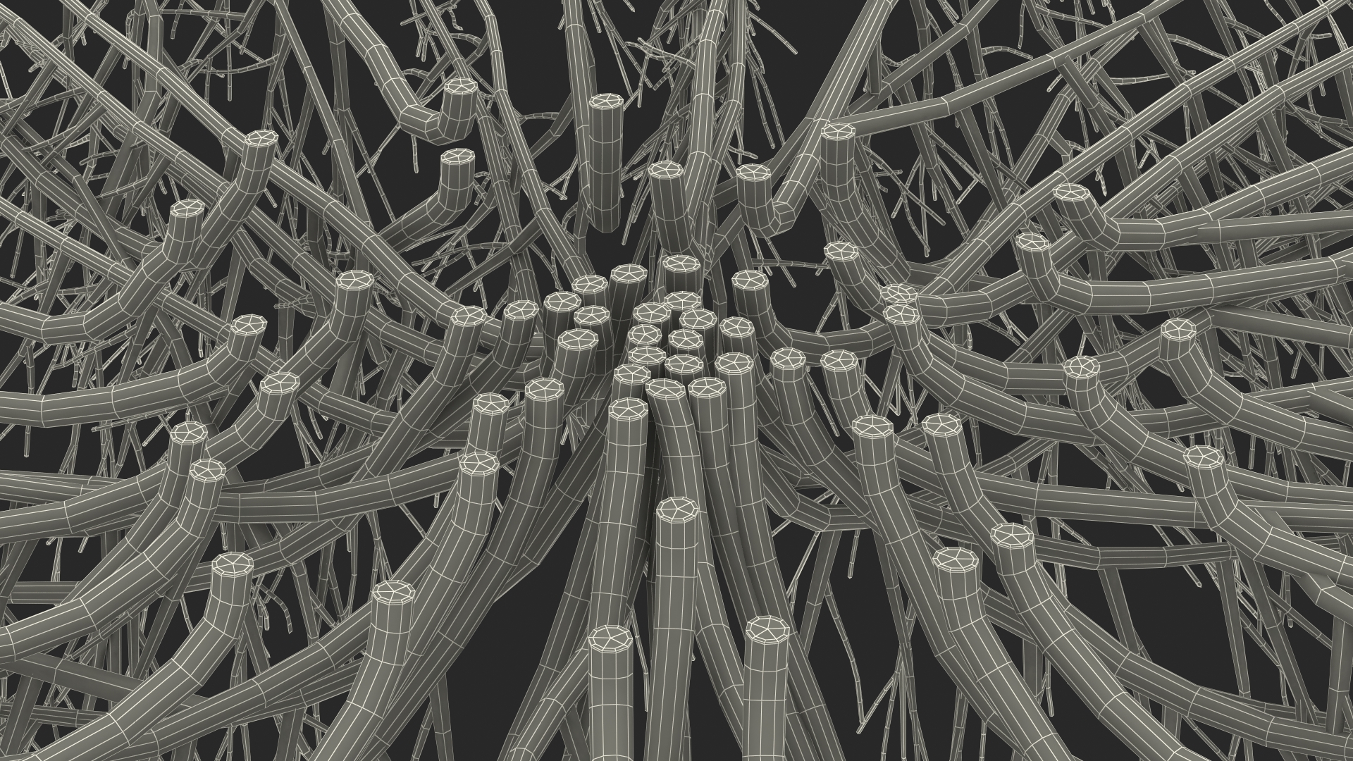 Horizontal Conifer Shrub 3D model