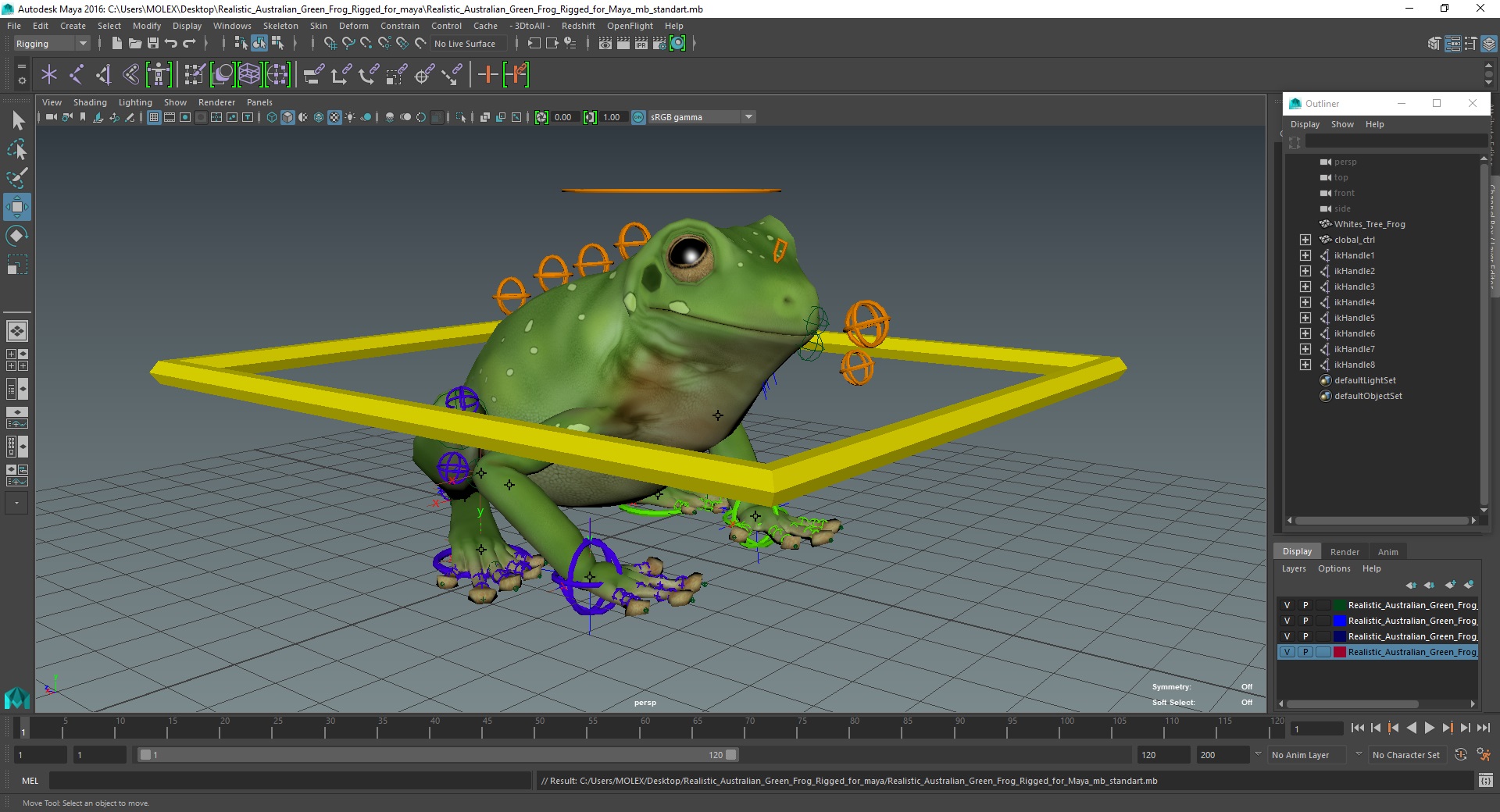 Realistic Australian Green Frog Rigged for Maya 3D