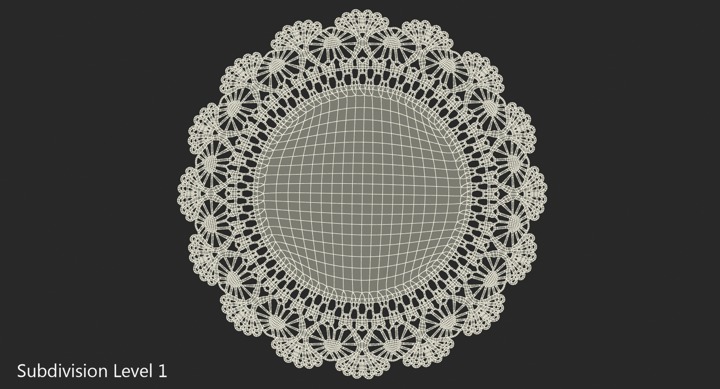 Lace Round Paper Doily 3D