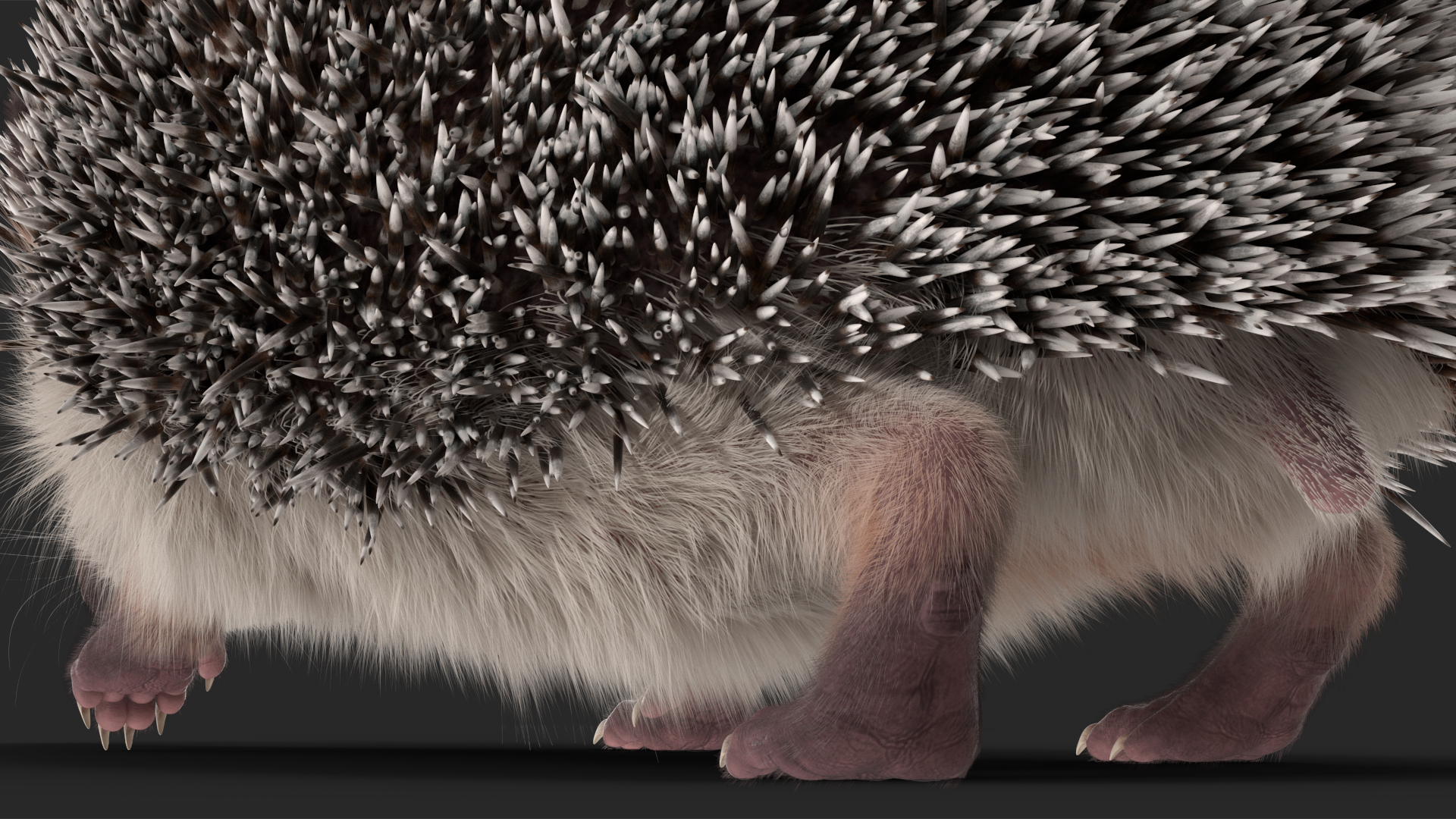 3D White Walk Hedgehog Fur model