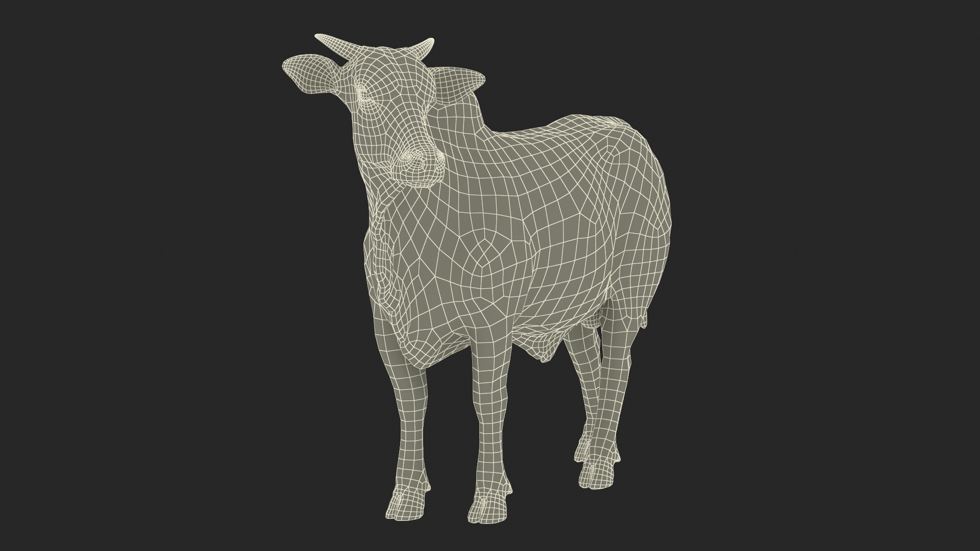 White Cow Male Looking 3D