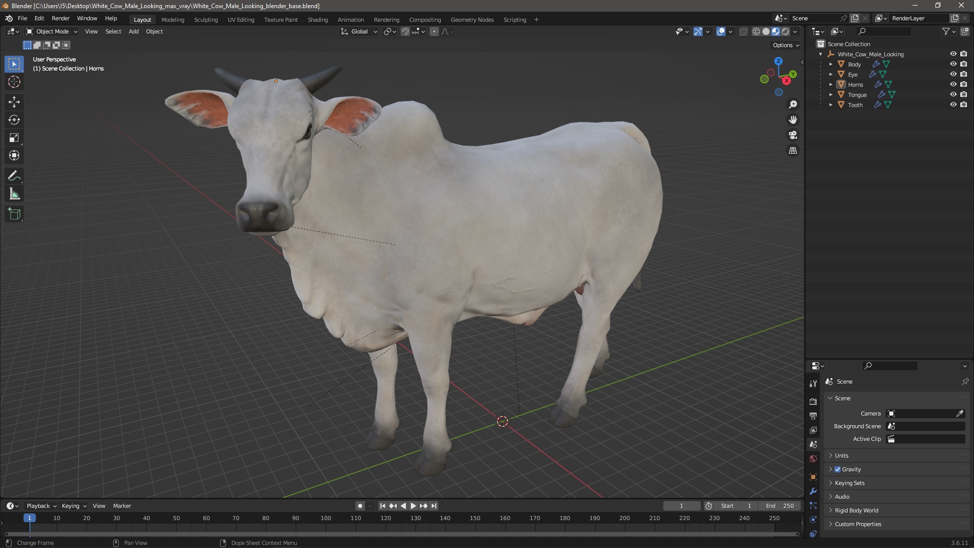 White Cow Male Looking 3D