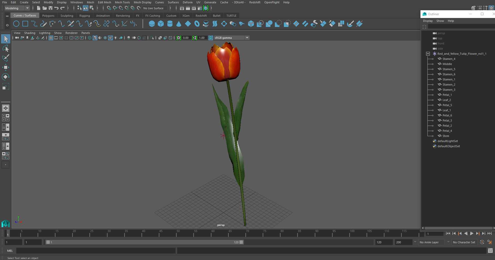 Red and Yellow Tulip Flower 3D