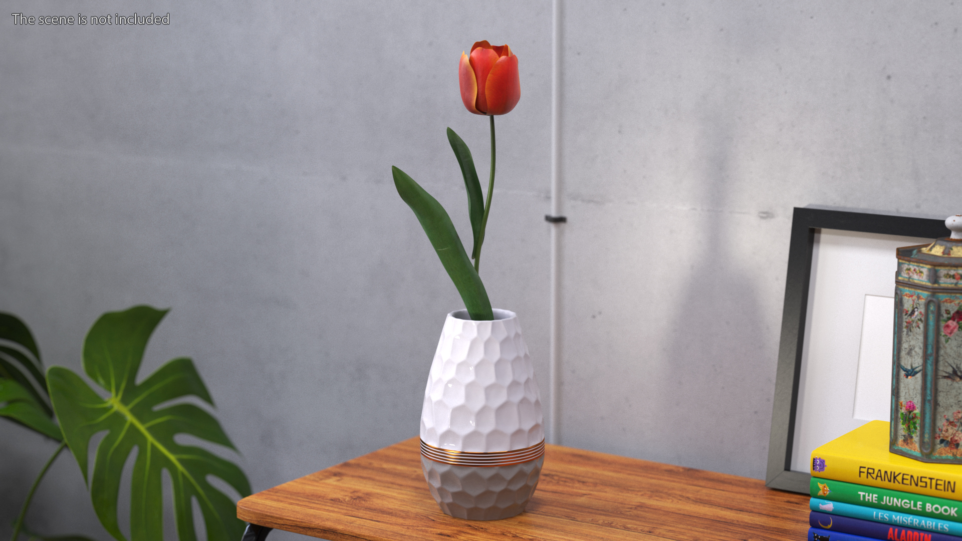 Red and Yellow Tulip Flower 3D