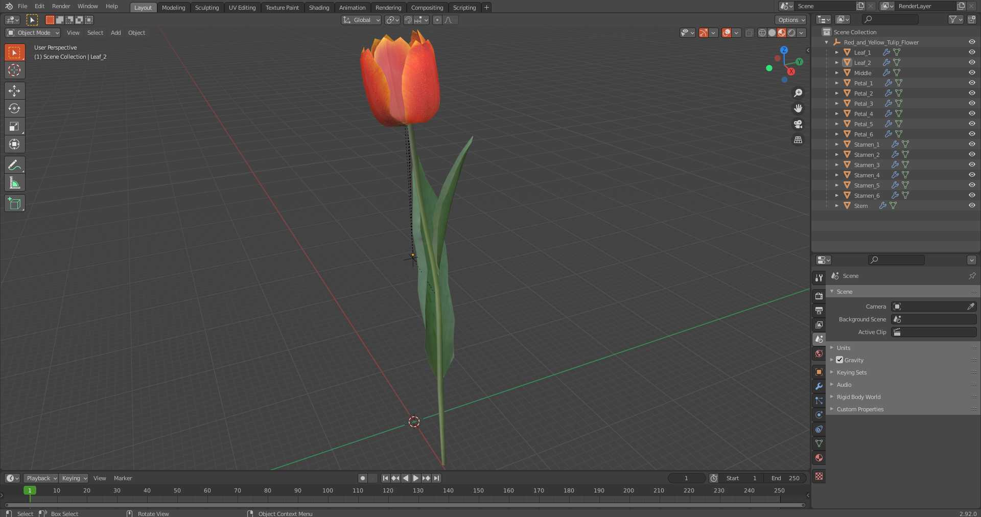 Red and Yellow Tulip Flower 3D