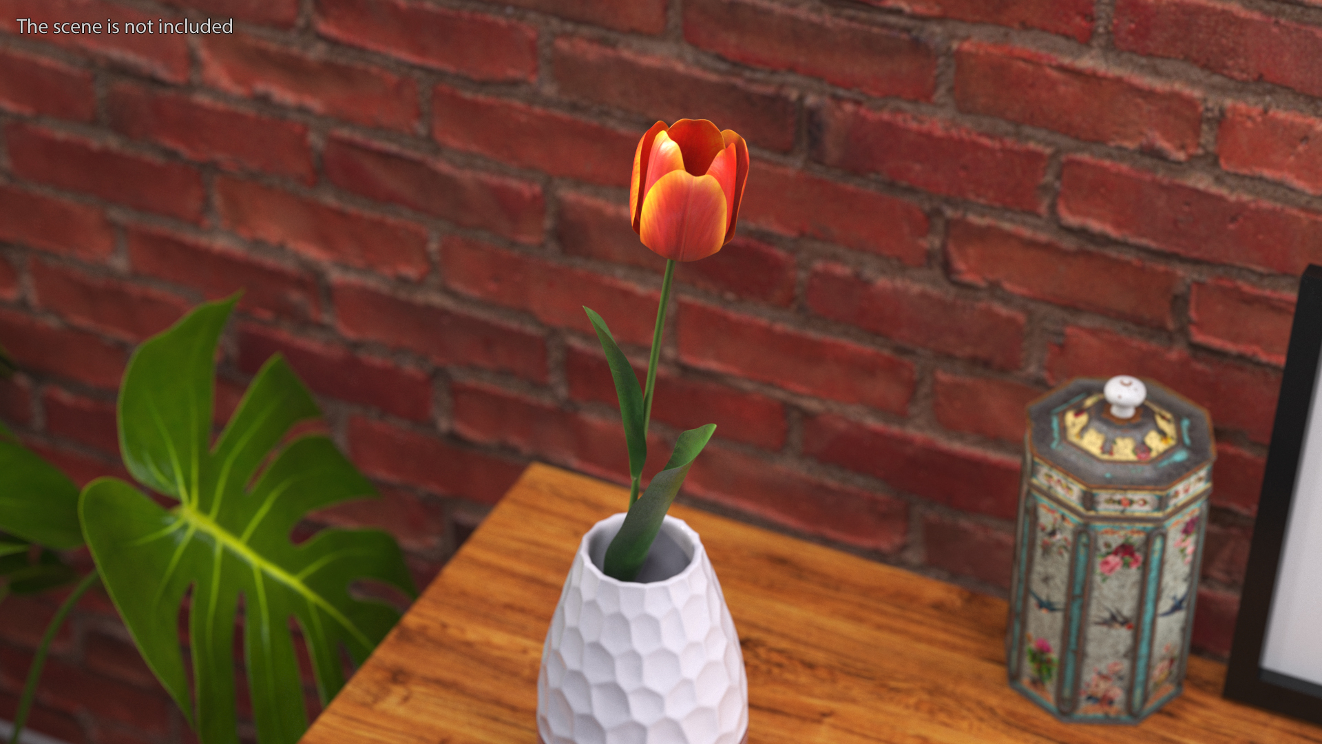 Red and Yellow Tulip Flower 3D