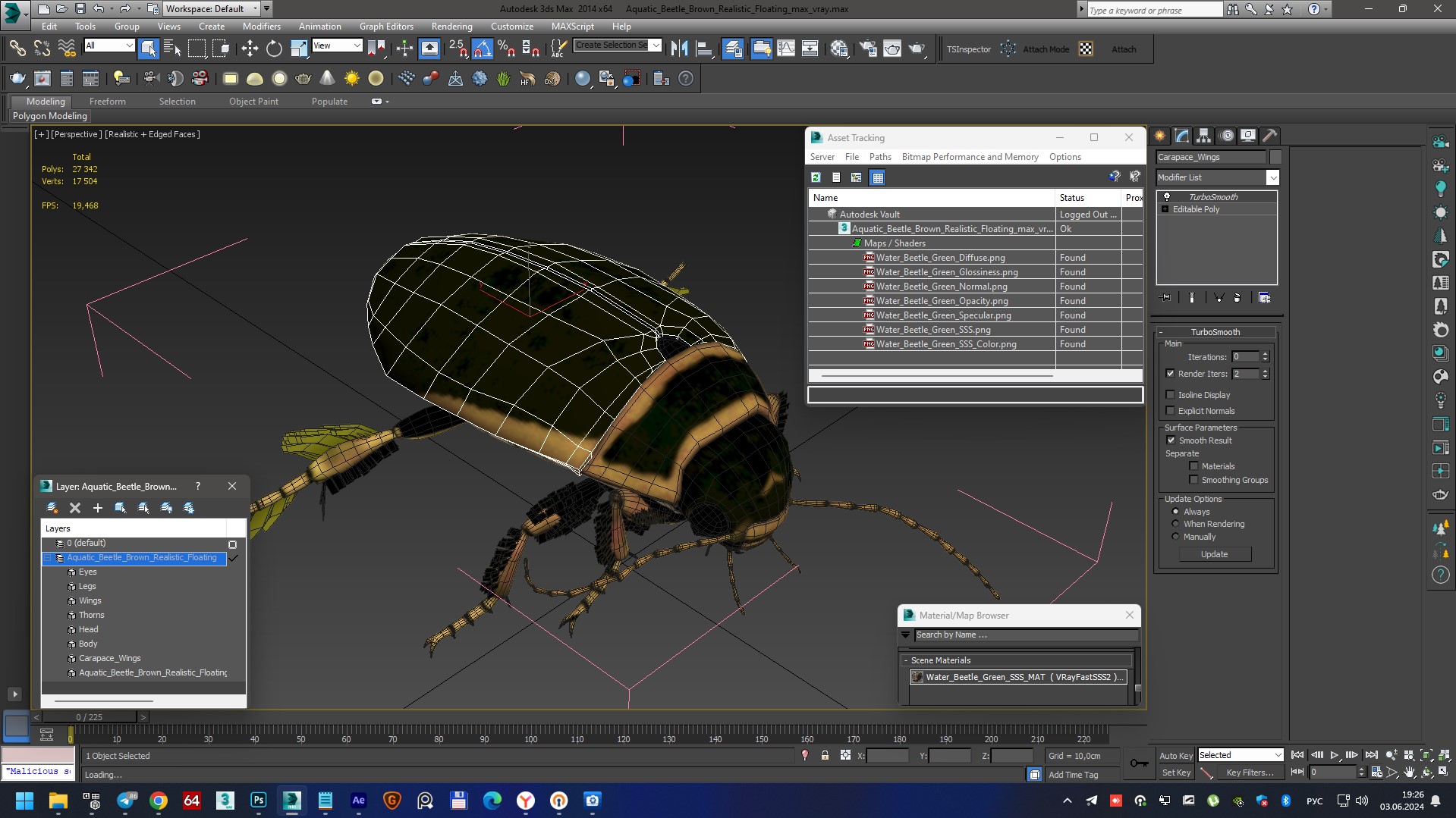 Aquatic Beetle Brown Realistic Floating 3D model