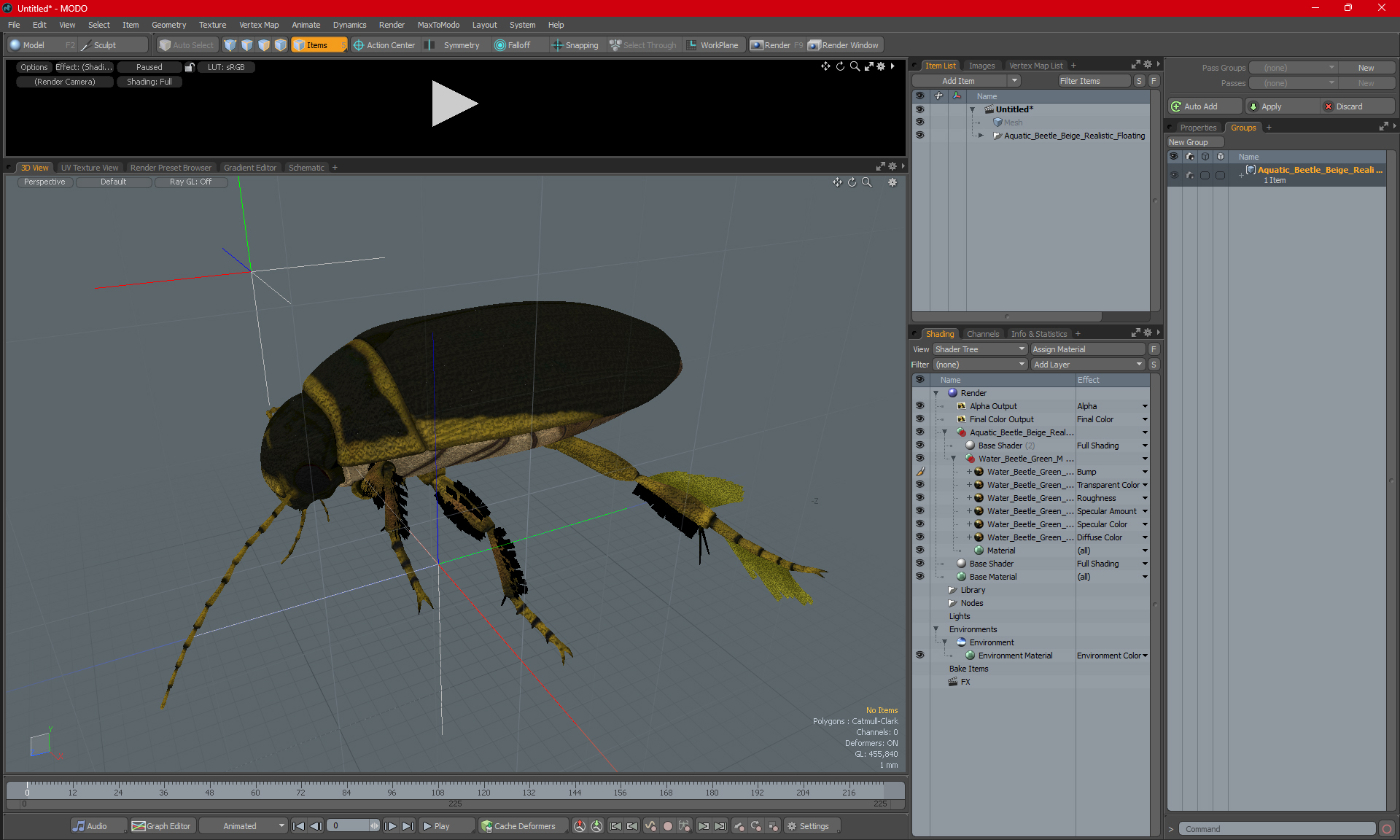 Aquatic Beetle Brown Realistic Floating 3D model