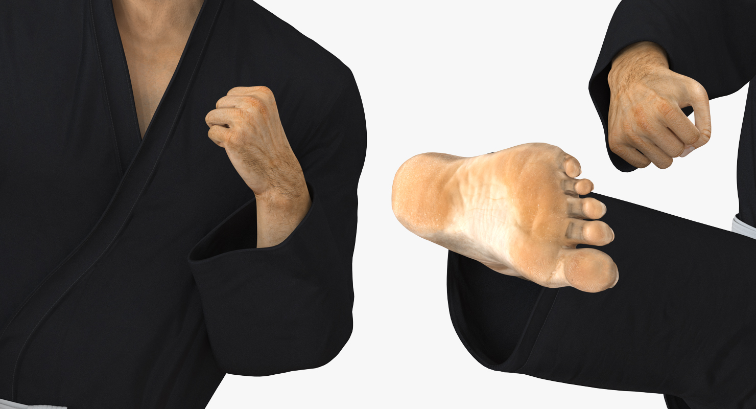 3D Japanese Karate Fighter Black Suit Rigged