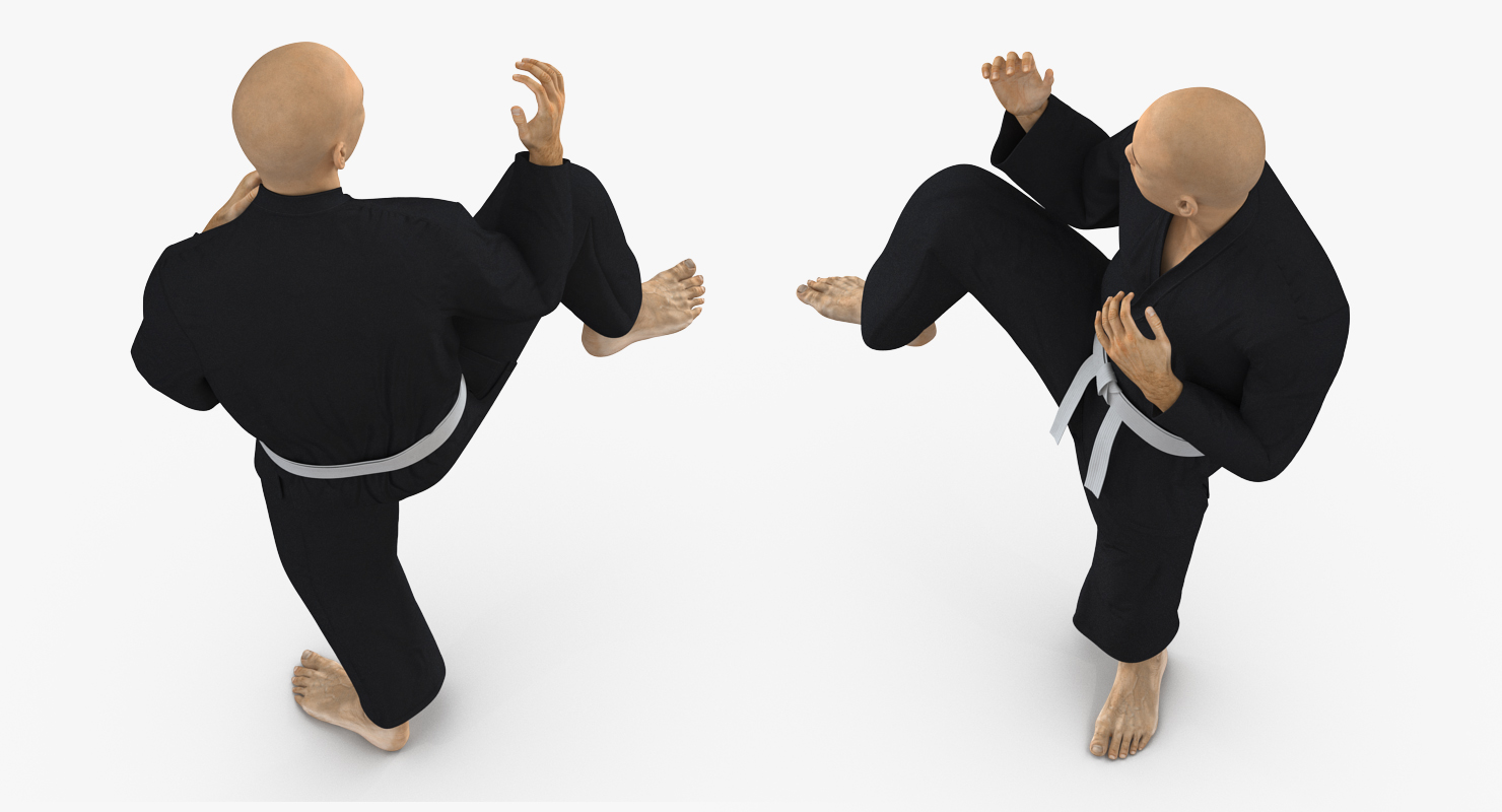 3D Japanese Karate Fighter Black Suit Rigged