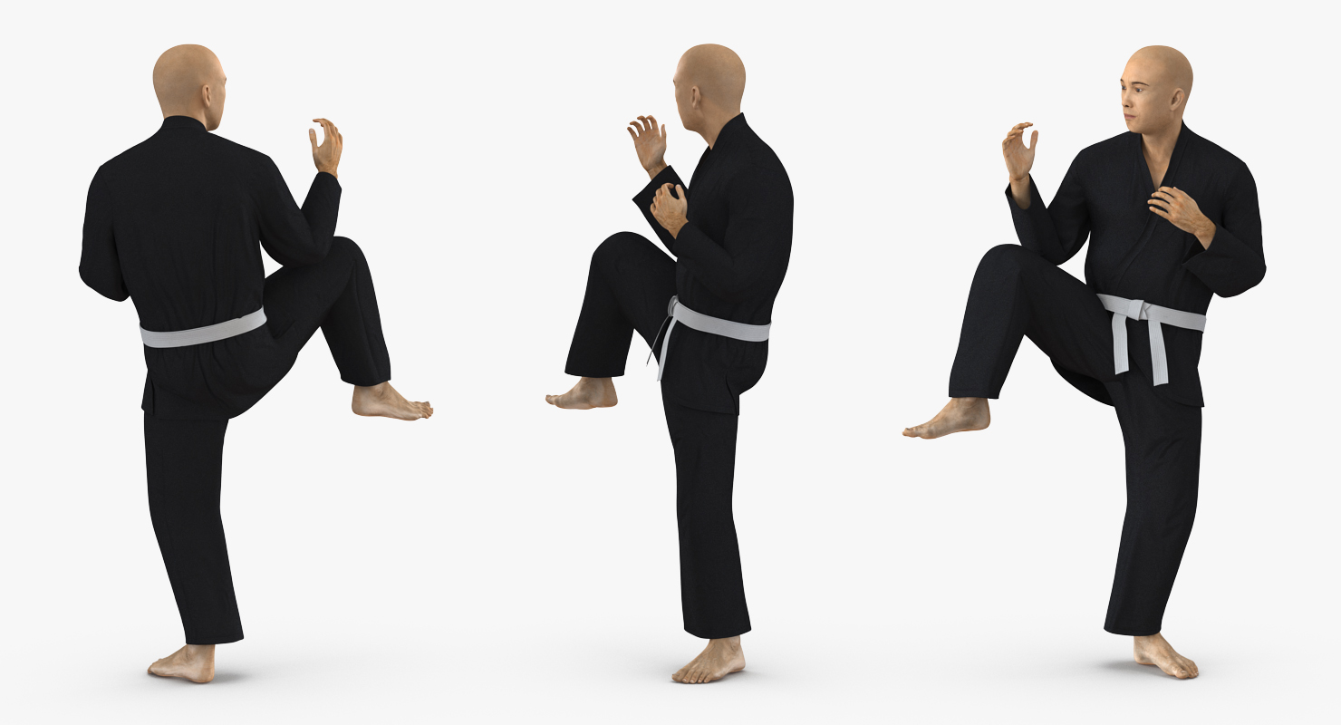 3D Japanese Karate Fighter Black Suit Rigged