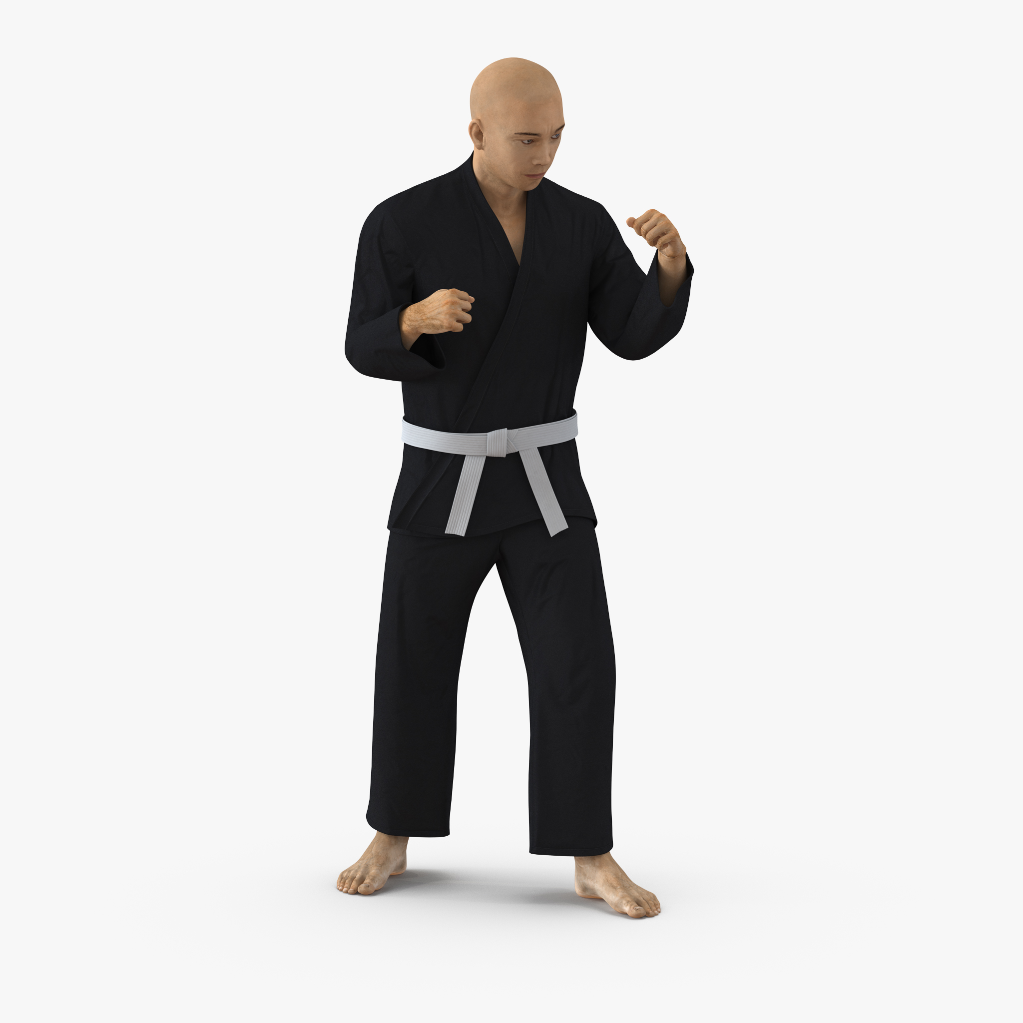 3D Japanese Karate Fighter Black Suit Rigged