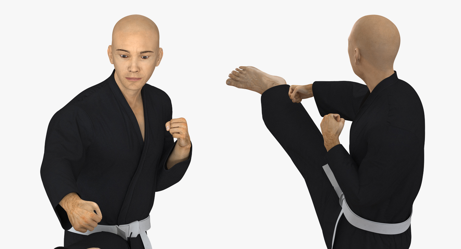 3D Japanese Karate Fighter Black Suit Rigged