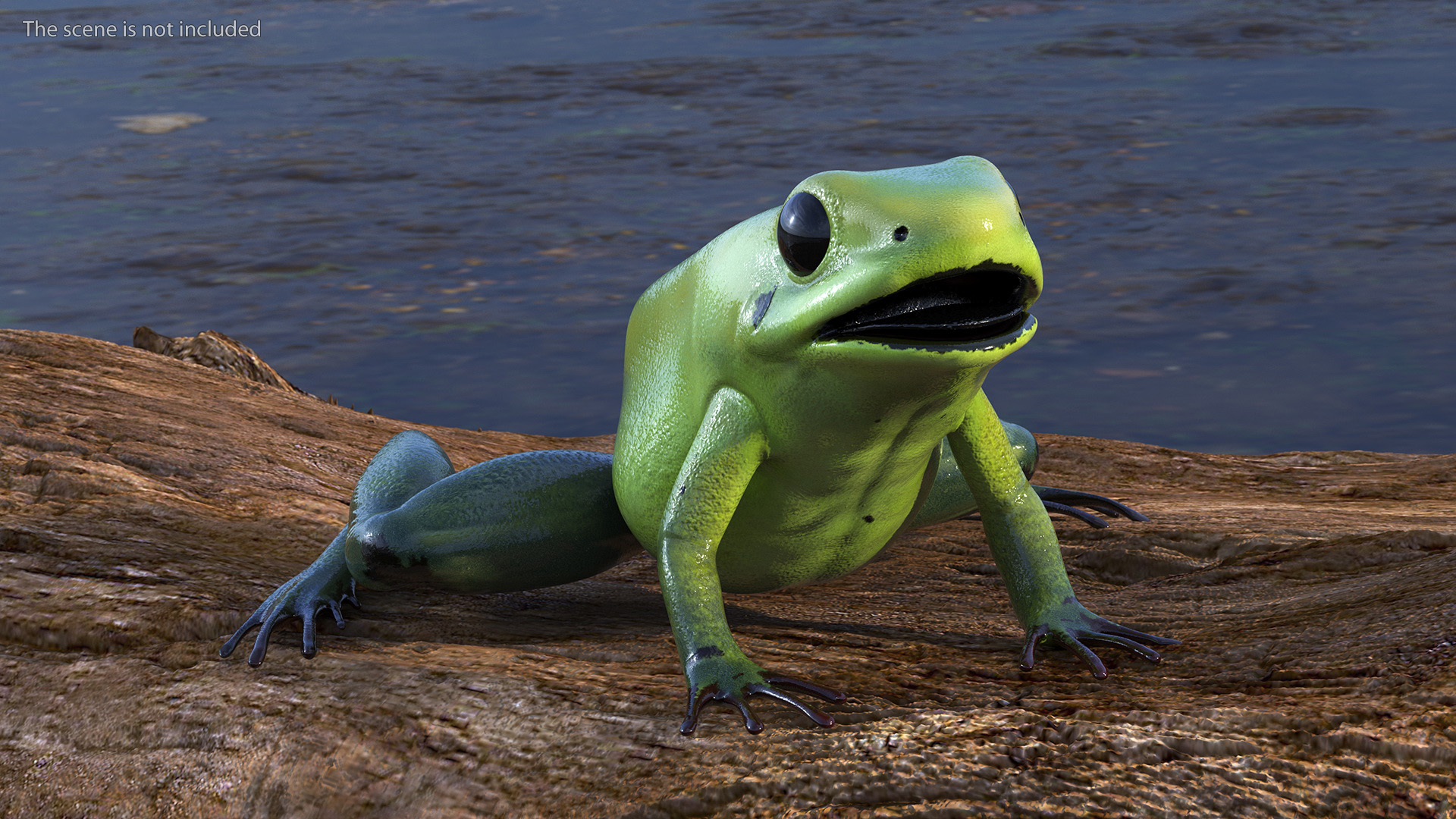 Green Morph Dart Frog Rigged for Maya 3D