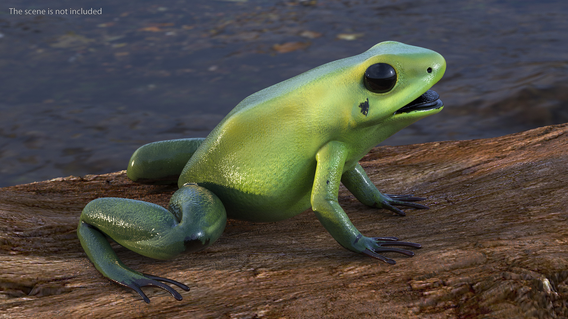 Green Morph Dart Frog Rigged for Maya 3D