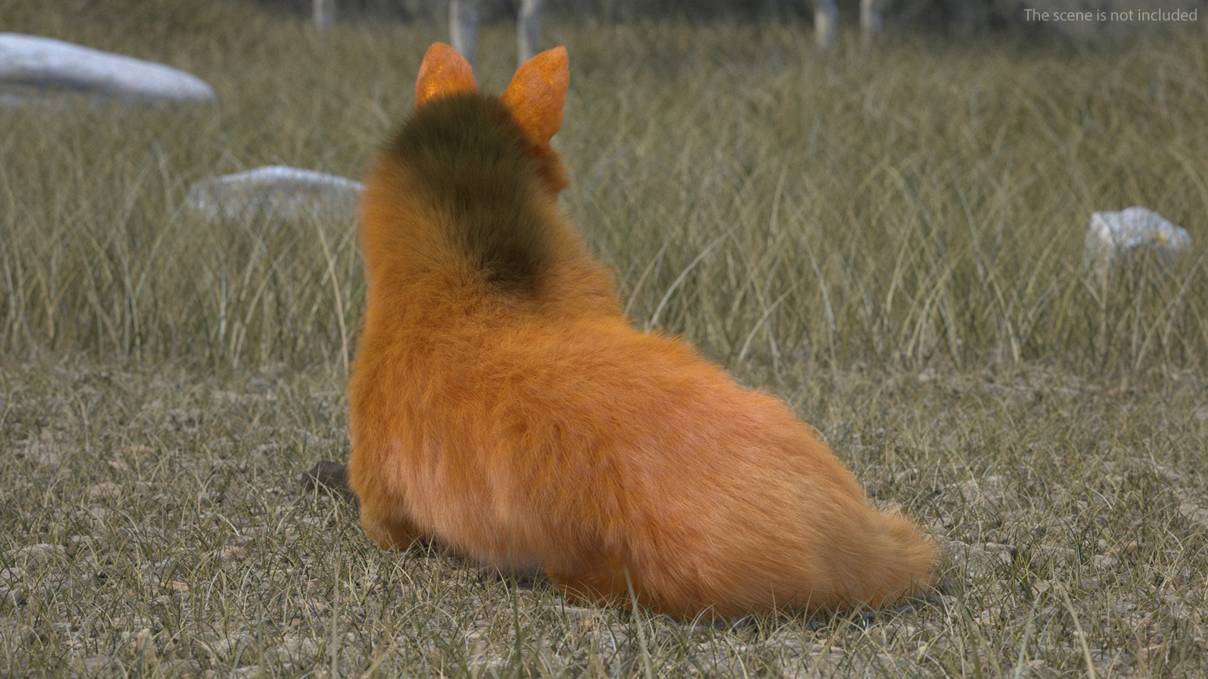 Maned Wolf Reclining Pose Fur 3D model