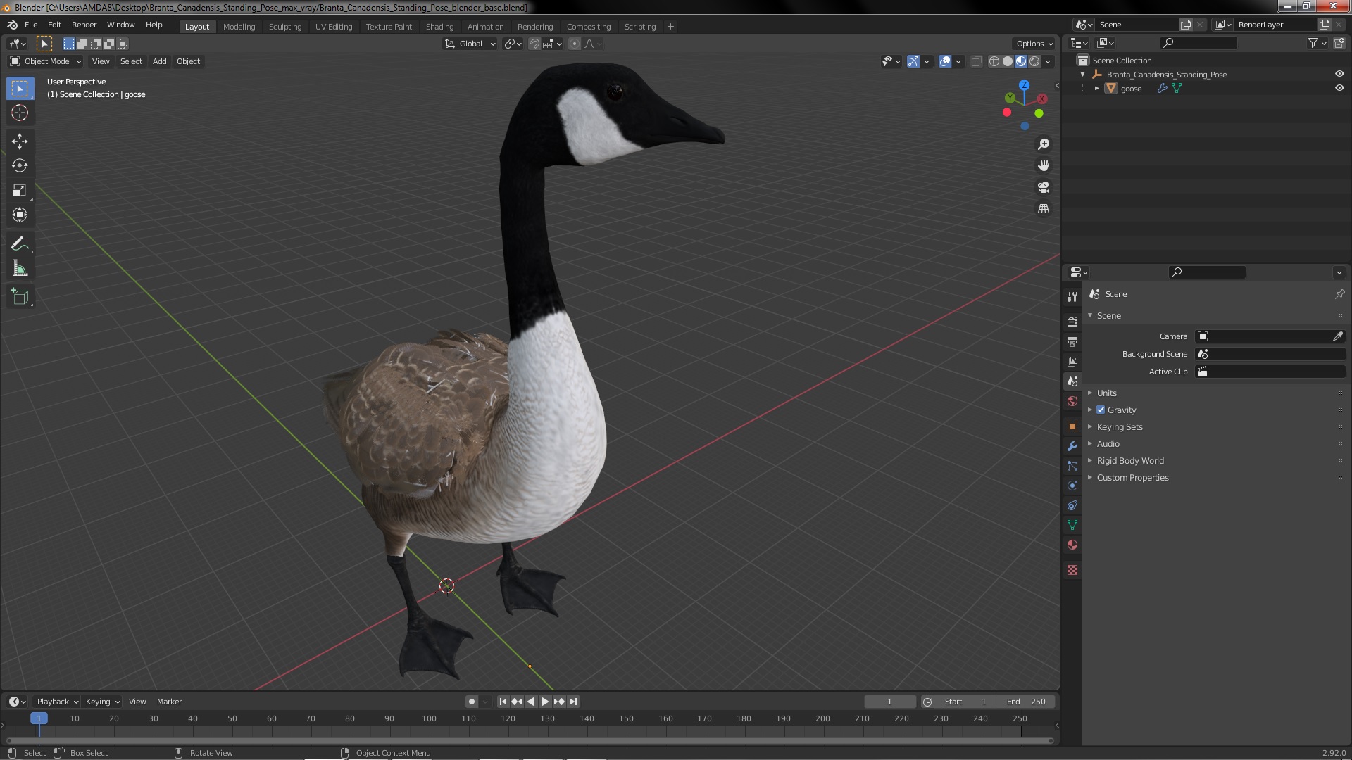 3D Branta Canadensis Standing Pose