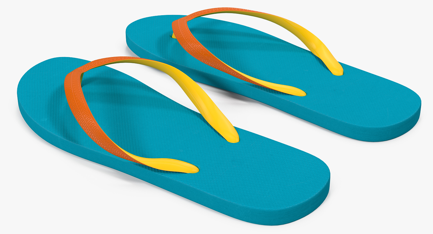 3D model Flip Flops