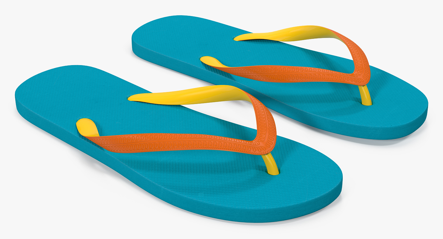 3D model Flip Flops