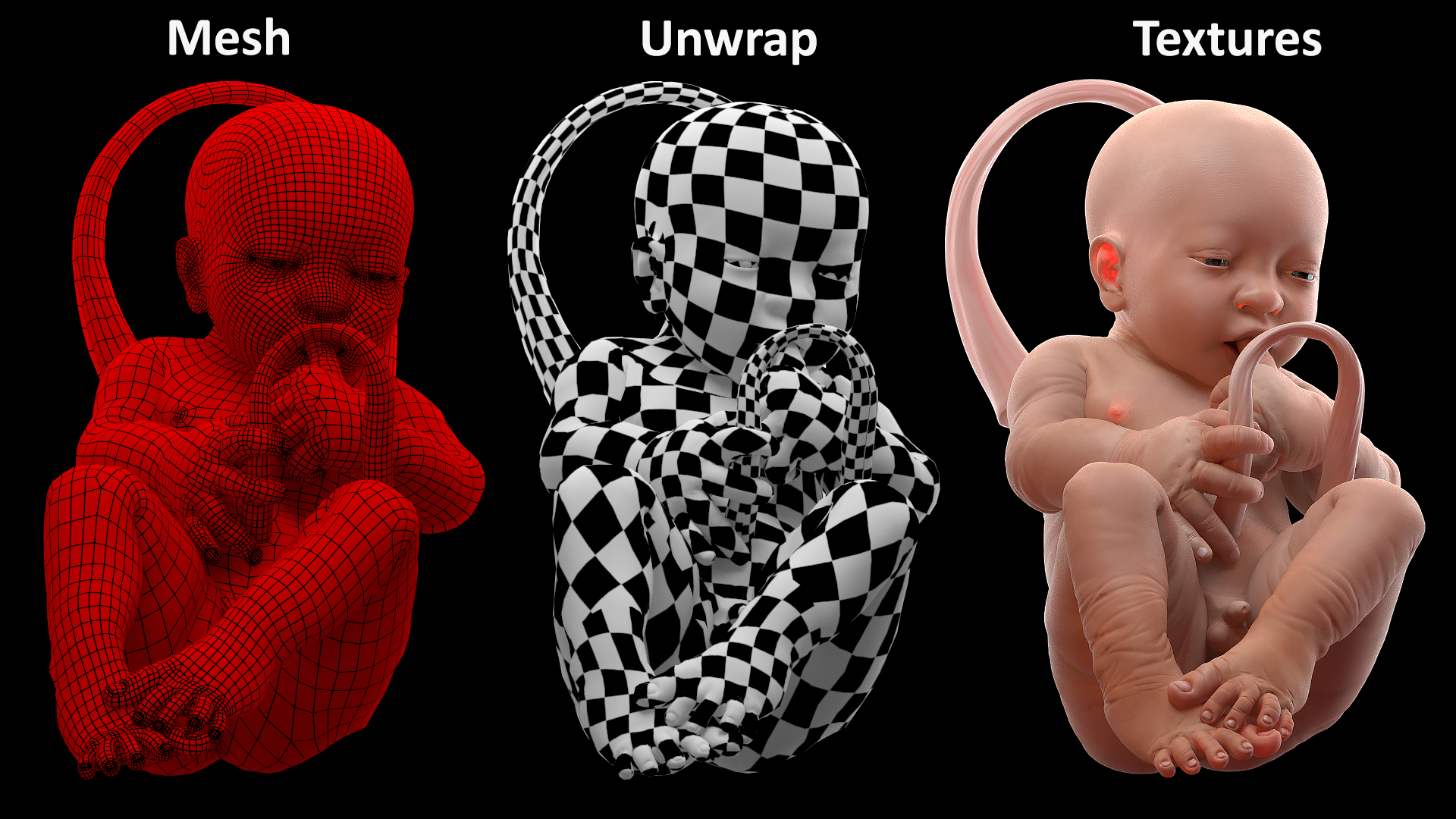 3D model Baby Boy at 38 Weeks