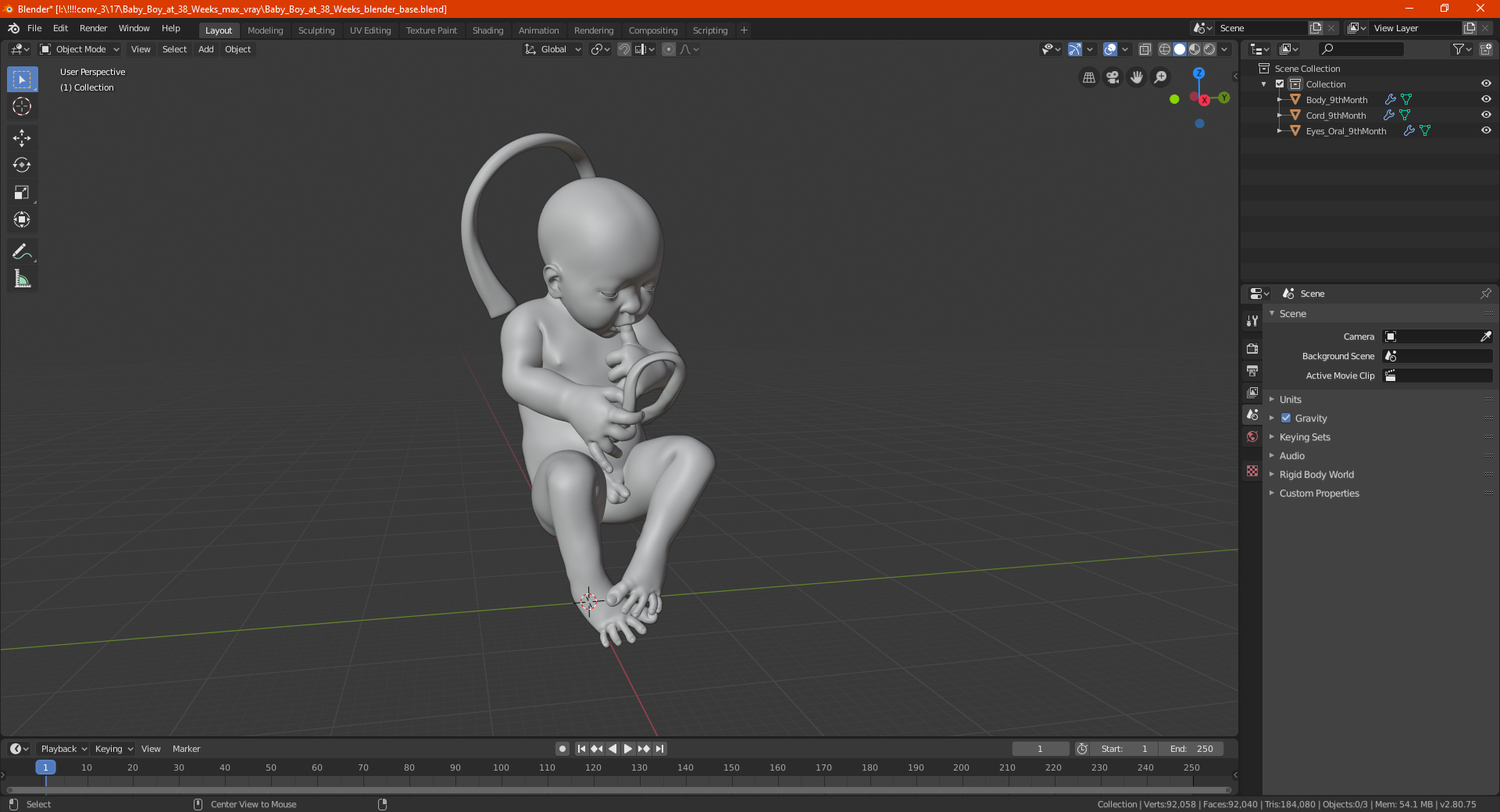 3D model Baby Boy at 38 Weeks