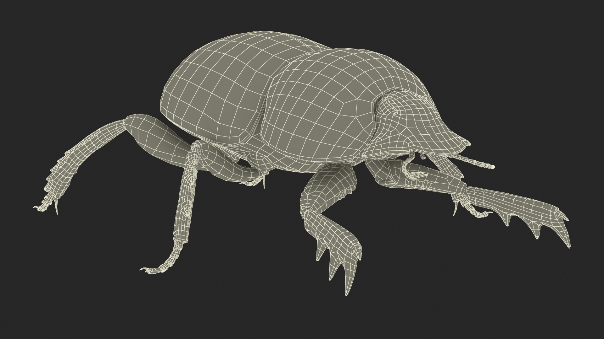 3D model Dung Beetle Standing