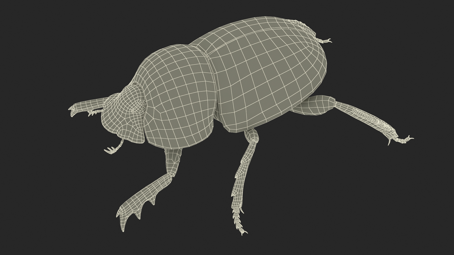 3D model Dung Beetle Standing