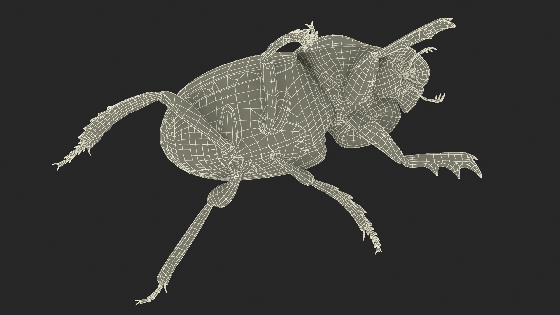 3D model Dung Beetle Standing