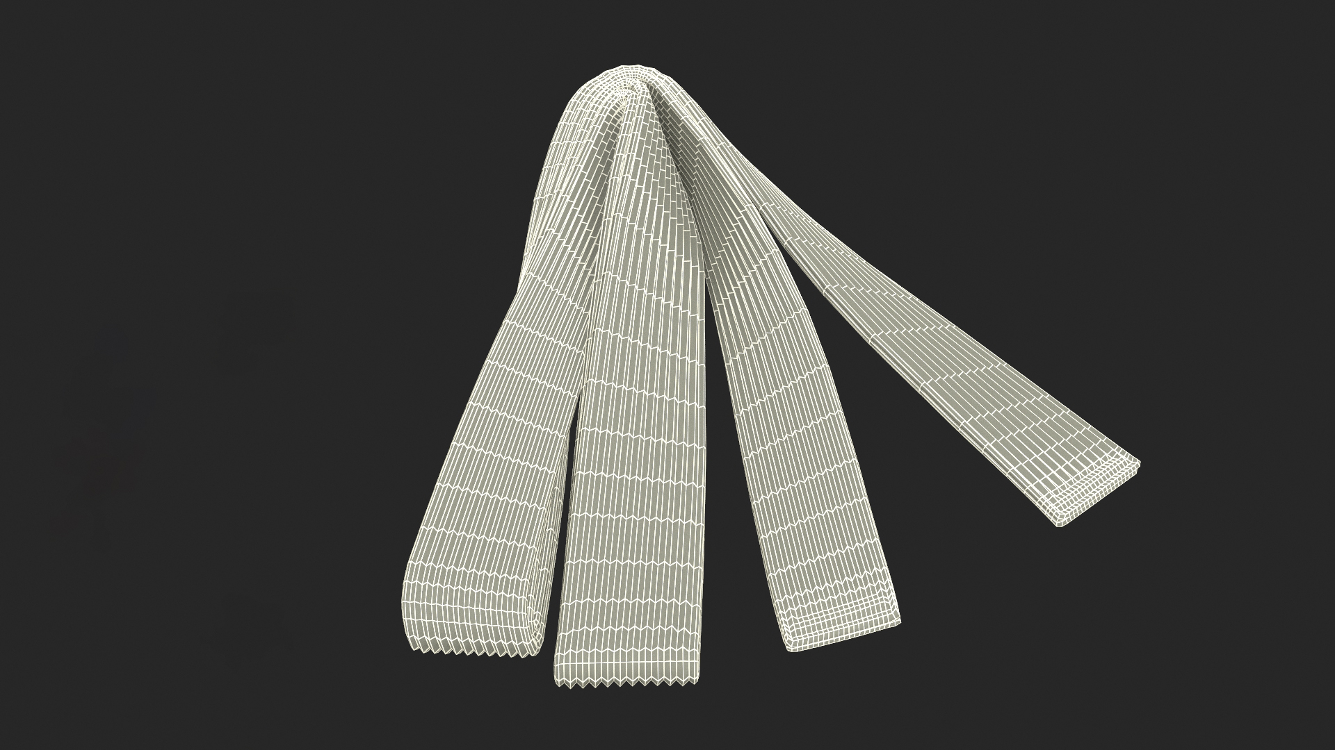 3D Karate White Belt Obi