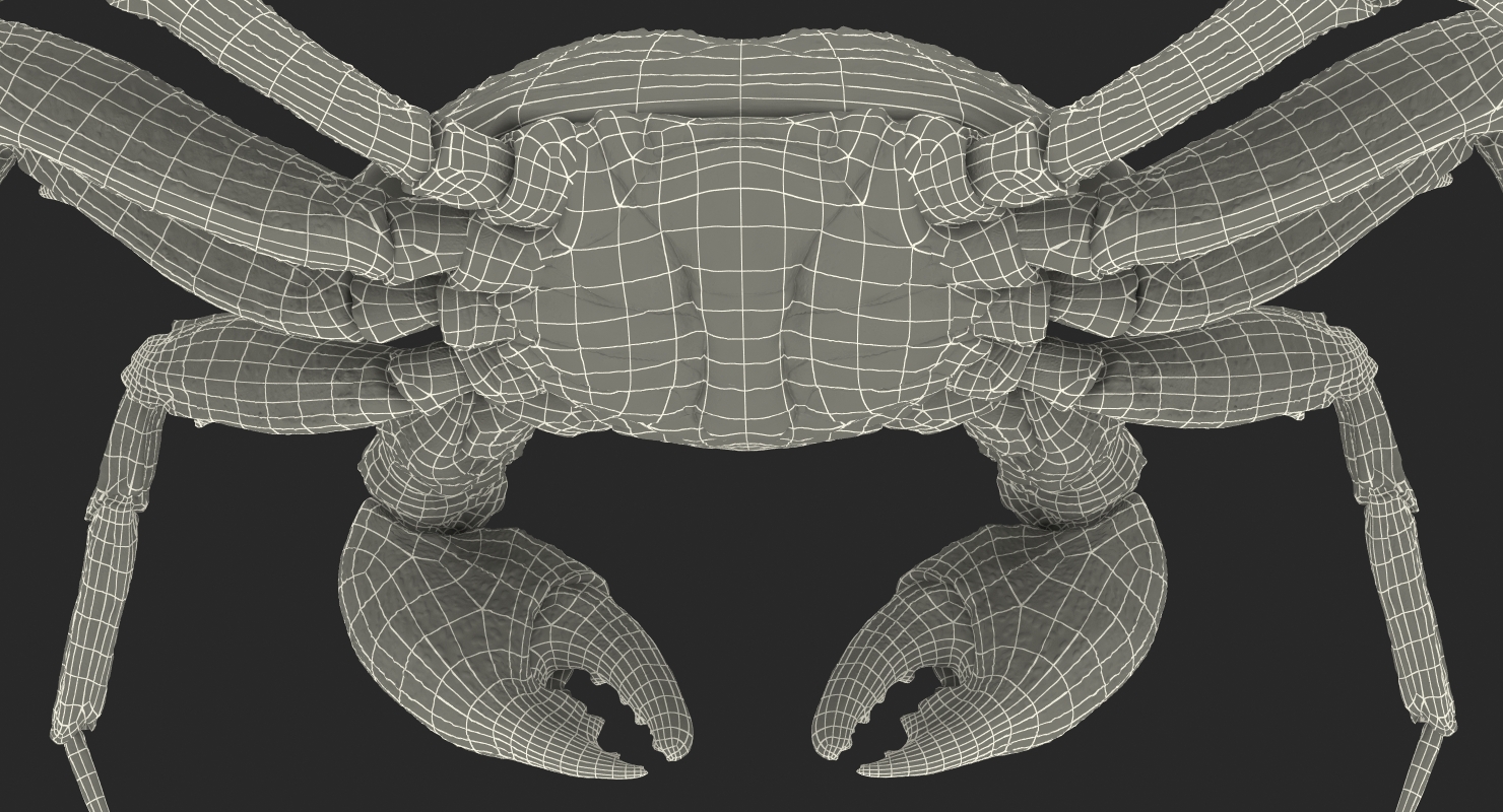 Vampire Crab Geosesarma with Fur 3D