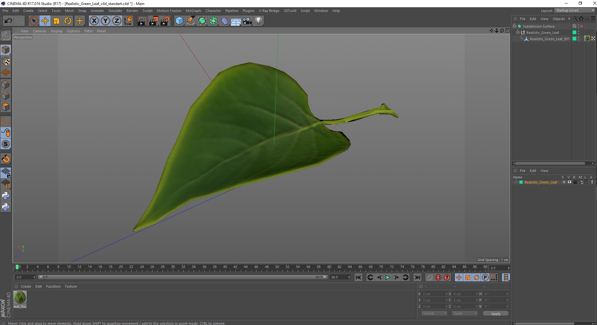 3D model Realistic Green Leaf