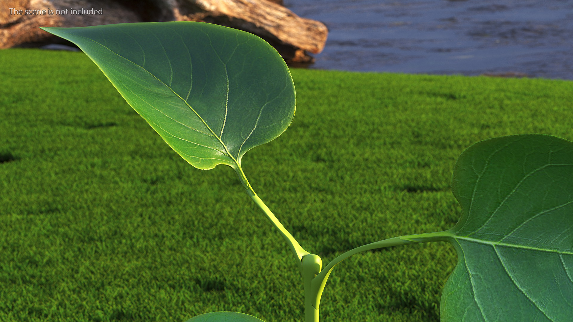 3D model Realistic Green Leaf