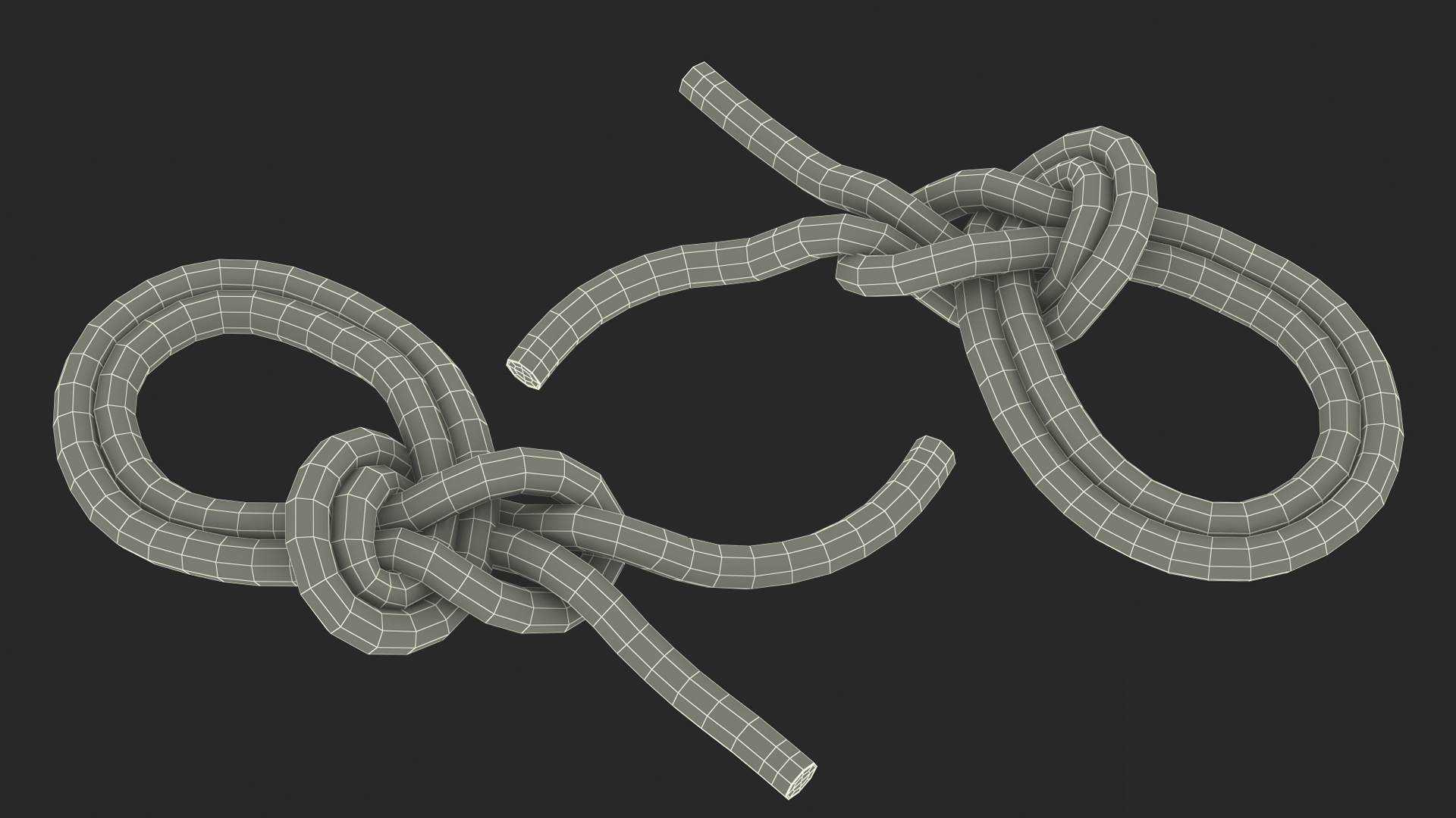 3D Bowline on a Bight Knot Rope model