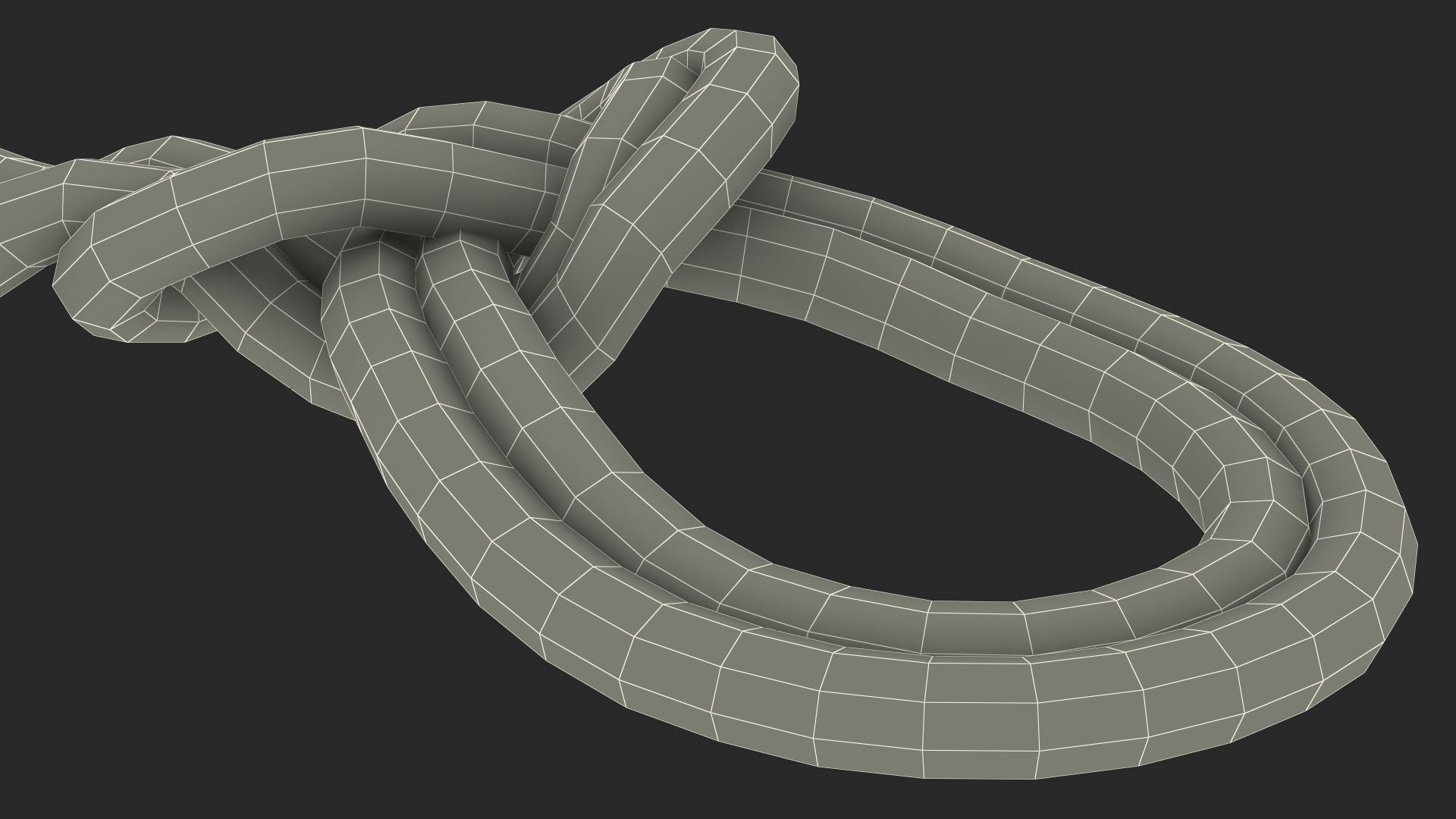 3D Bowline on a Bight Knot Rope model