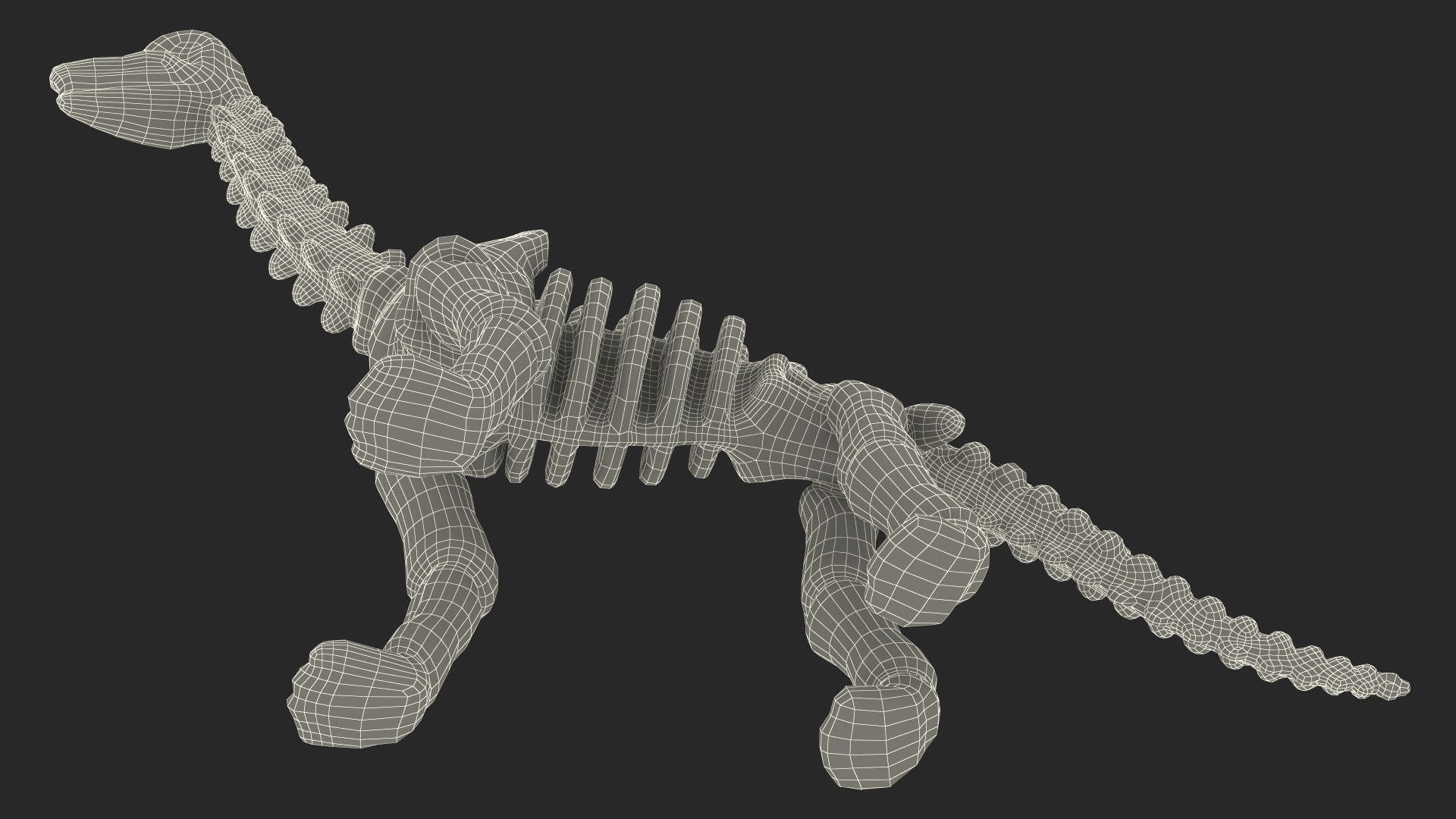 3D Diplodocus Skeleton Toy model