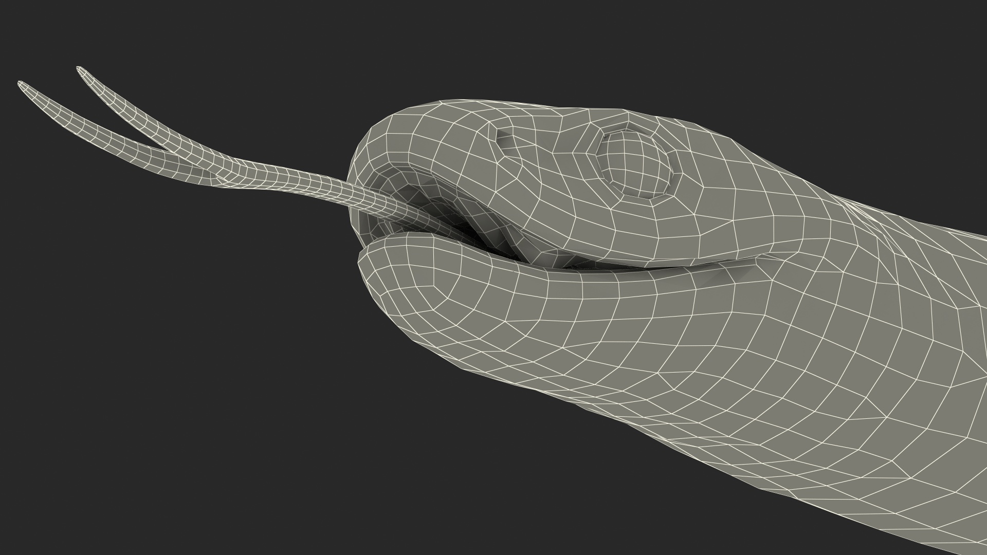 3D model California Kingsnake