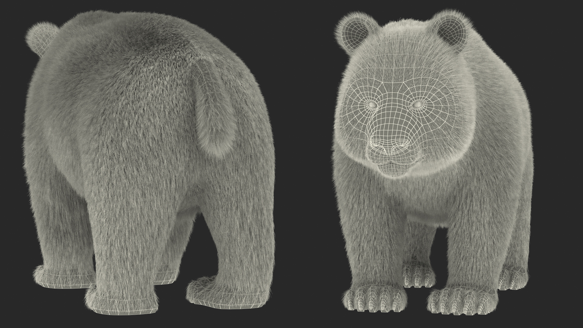 Giant Panda Fur Rigged 3D