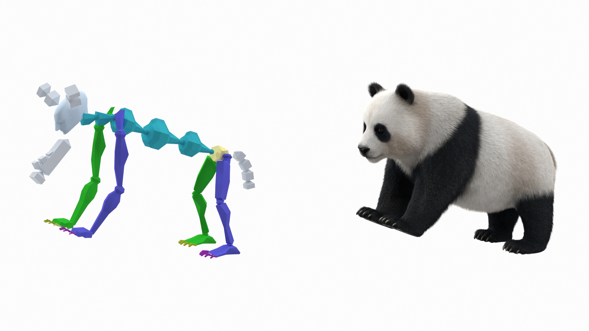 Giant Panda Fur Rigged 3D