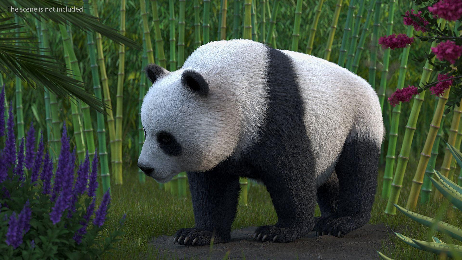 Giant Panda Fur Rigged 3D