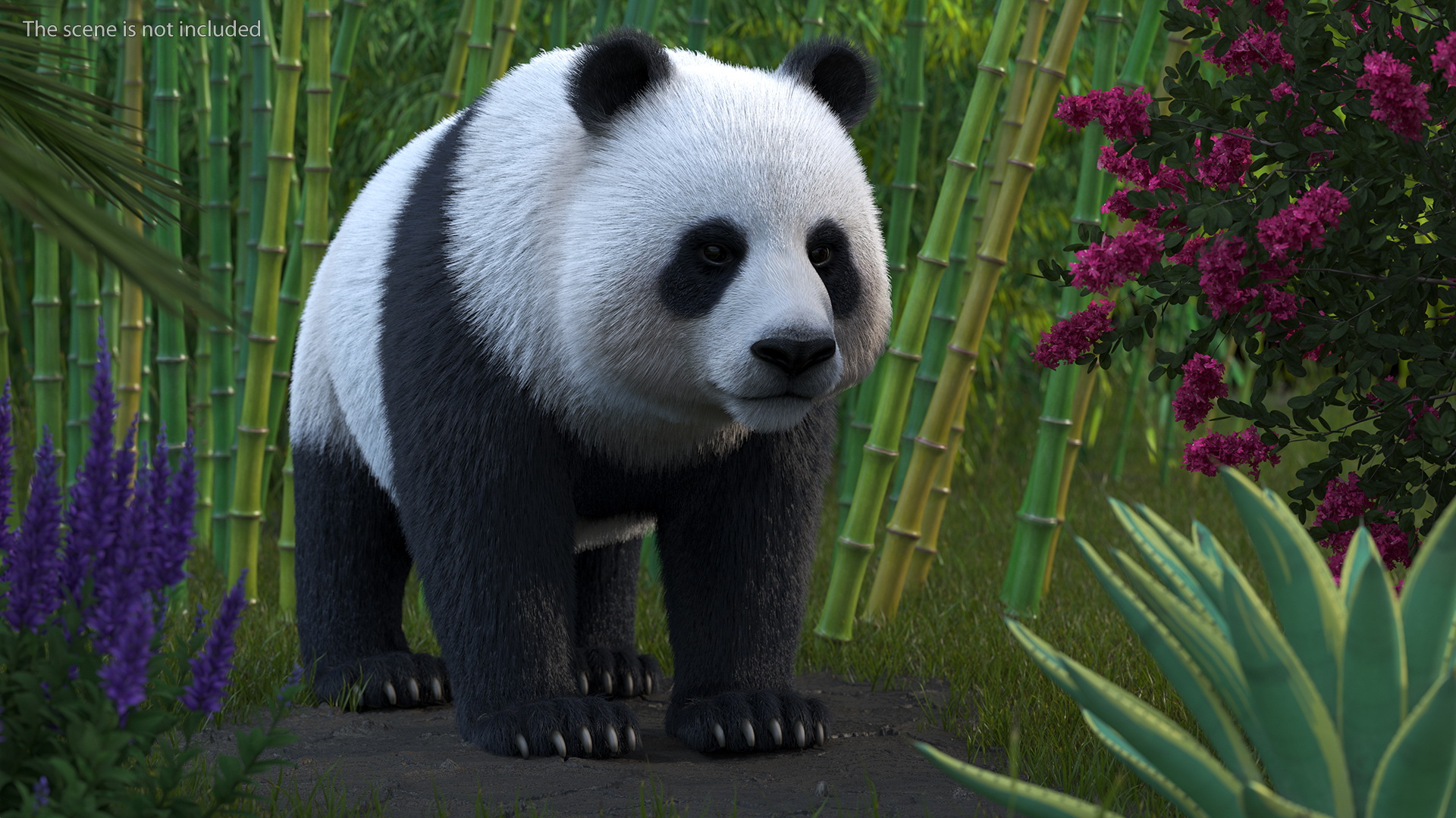 Giant Panda Fur Rigged 3D