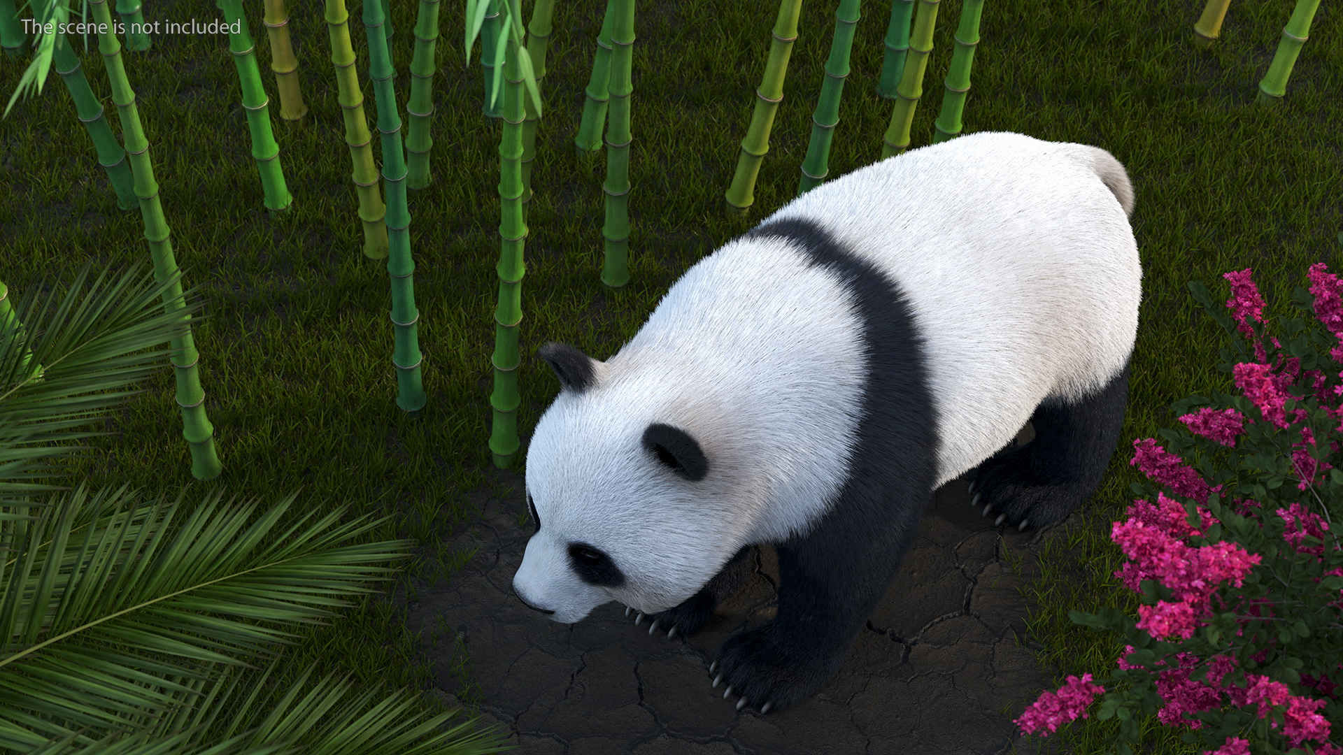 Giant Panda Fur Rigged 3D