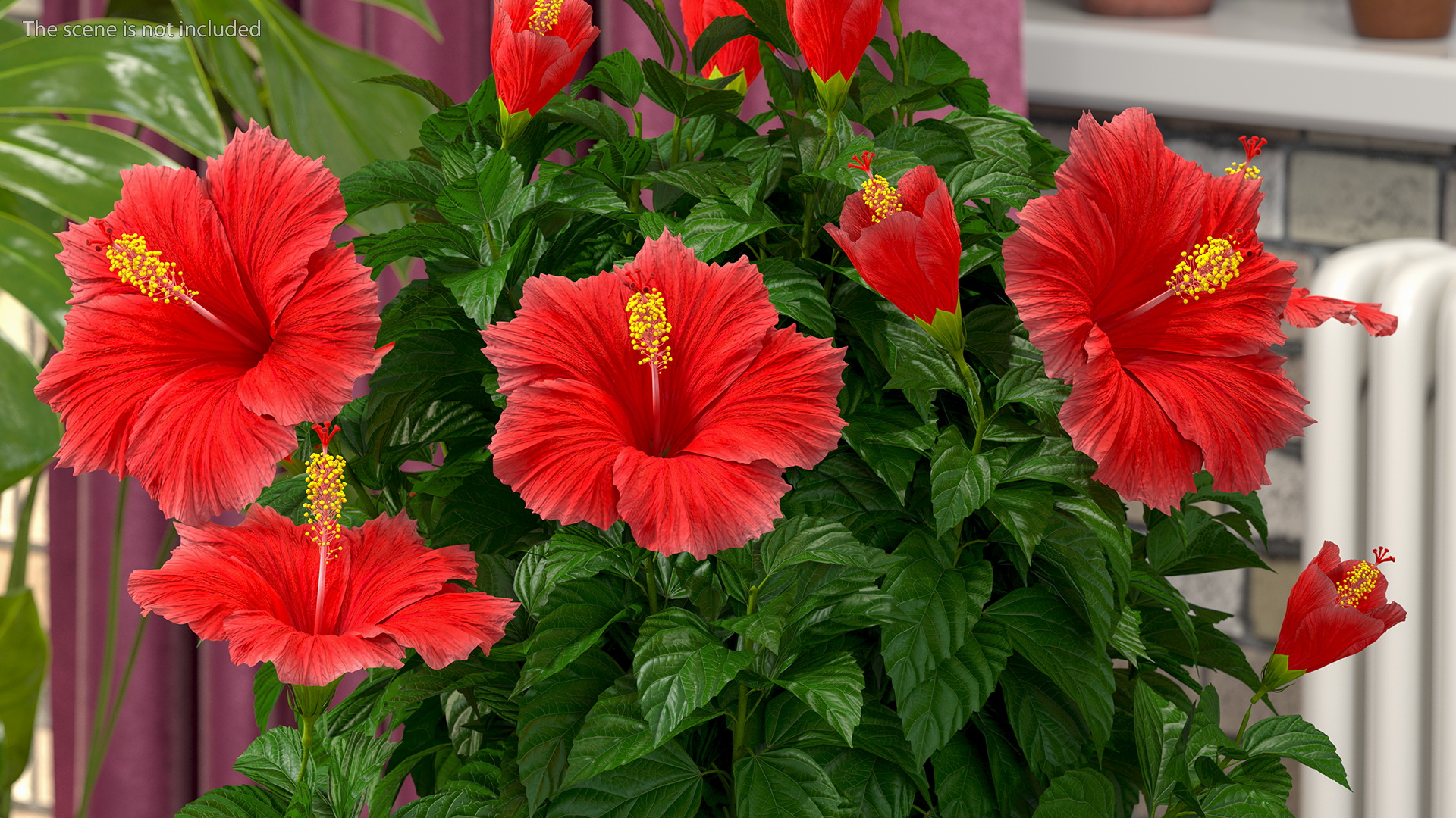 3D Braided Hibiscus Plant Red