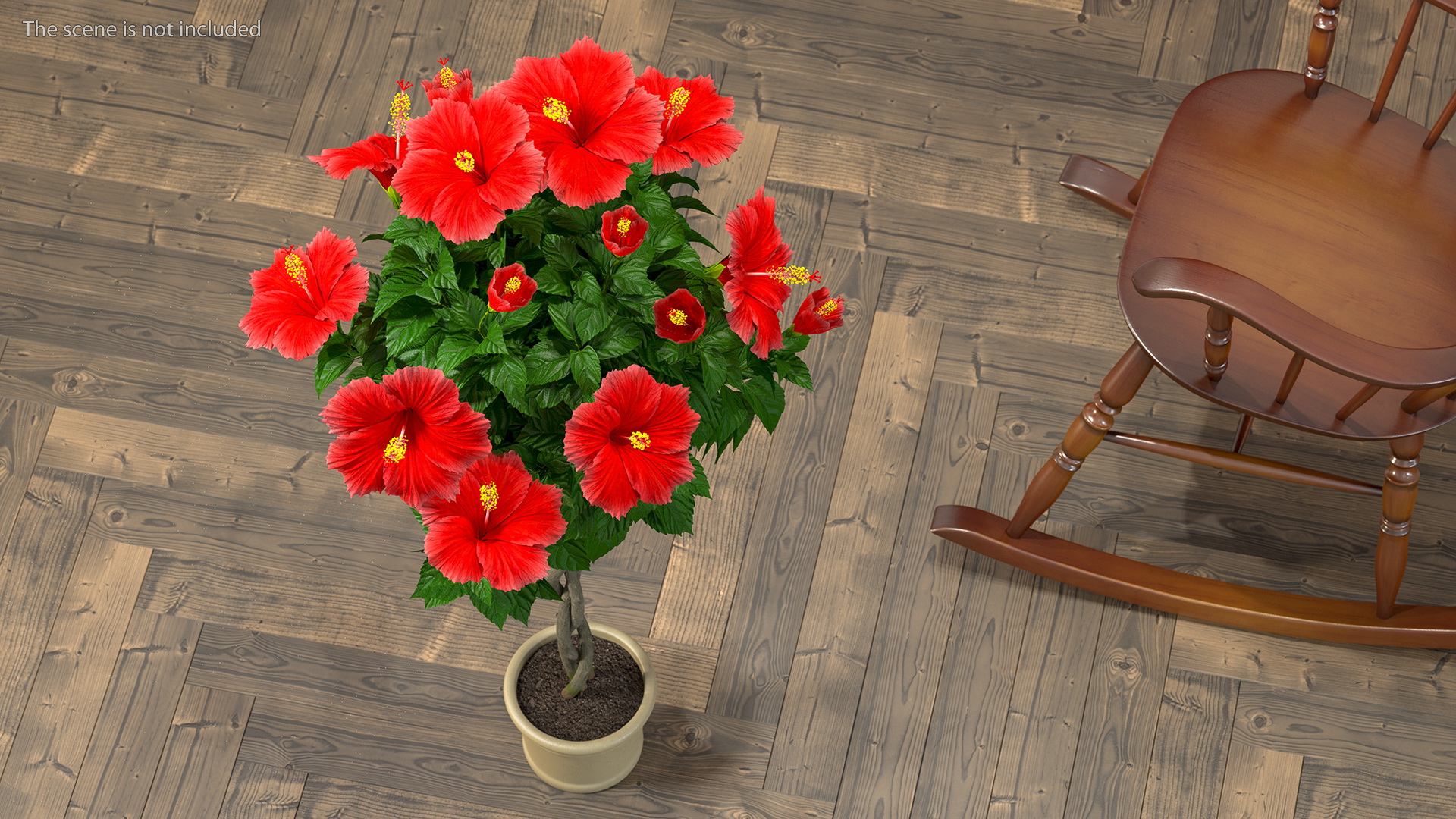 3D Braided Hibiscus Plant Red