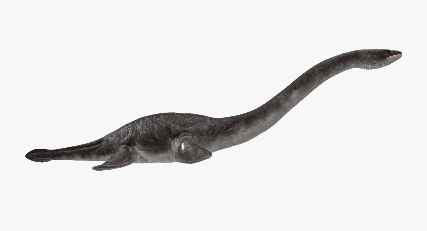 3D Plesiosauria Marine Reptile Dinosaur Rigged model