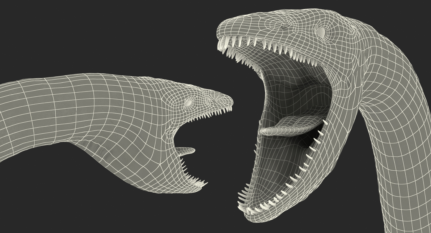 3D Plesiosauria Marine Reptile Dinosaur Rigged model