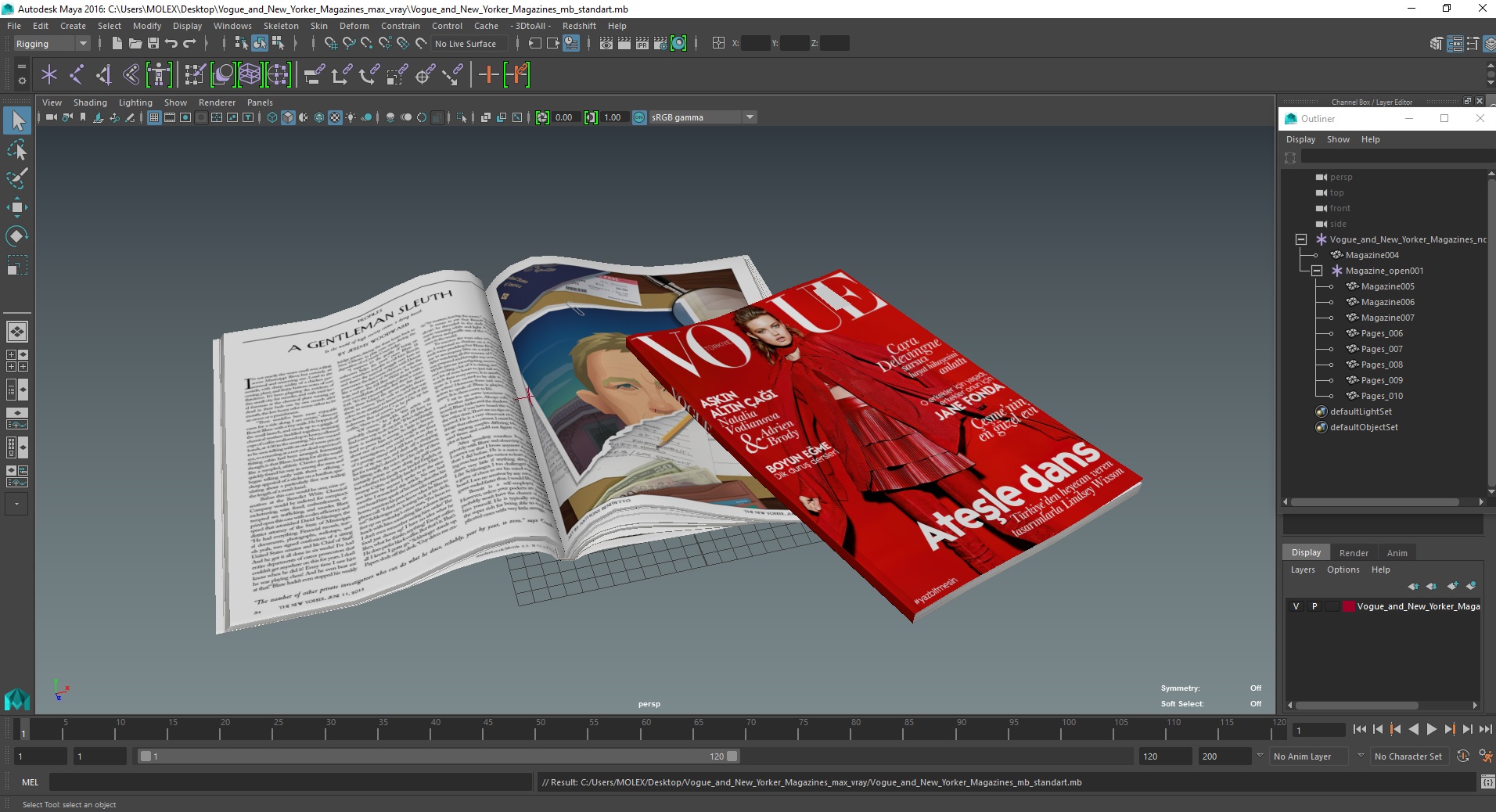 3D model Vogue and New Yorker Magazines