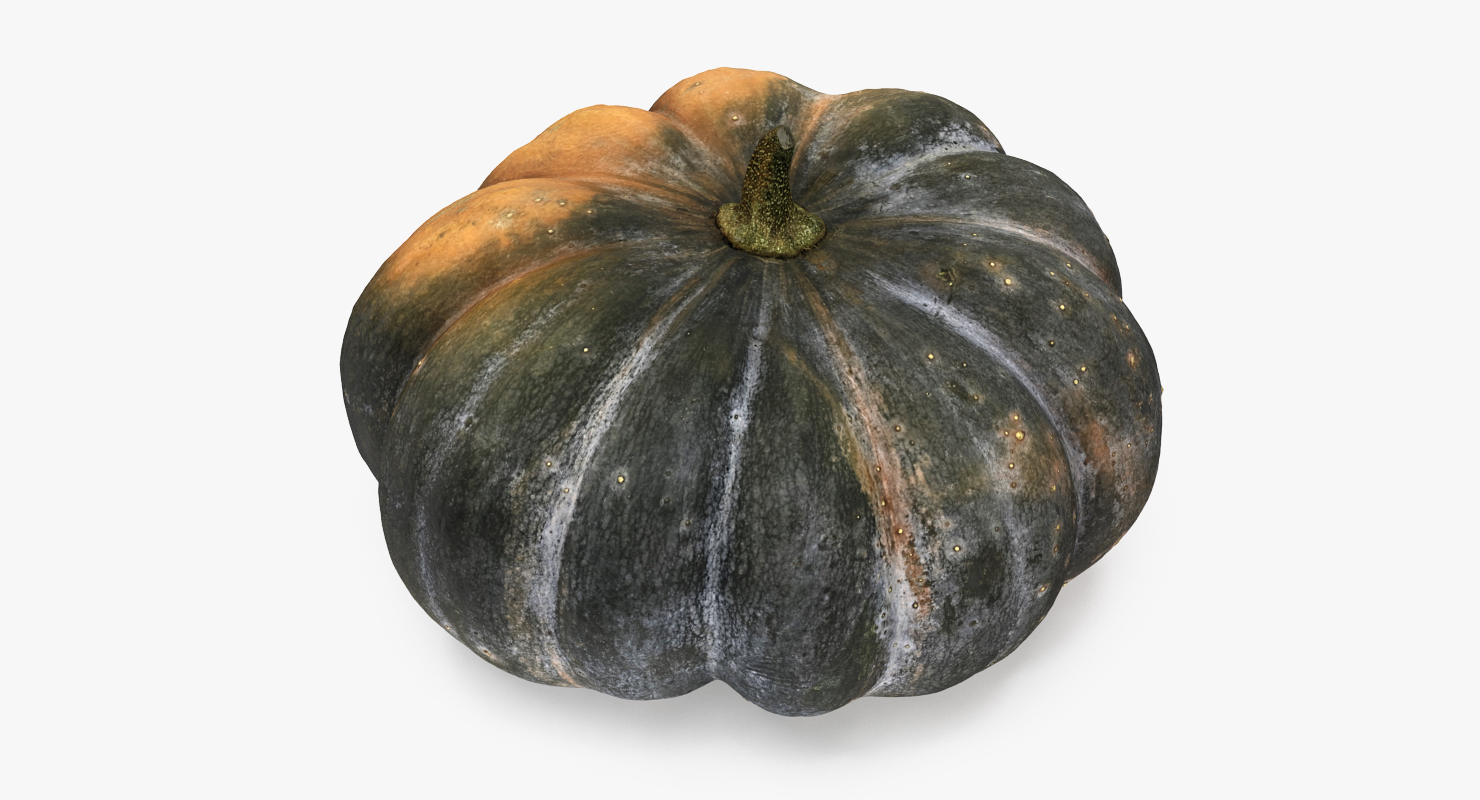 3D Green Pumpkin model