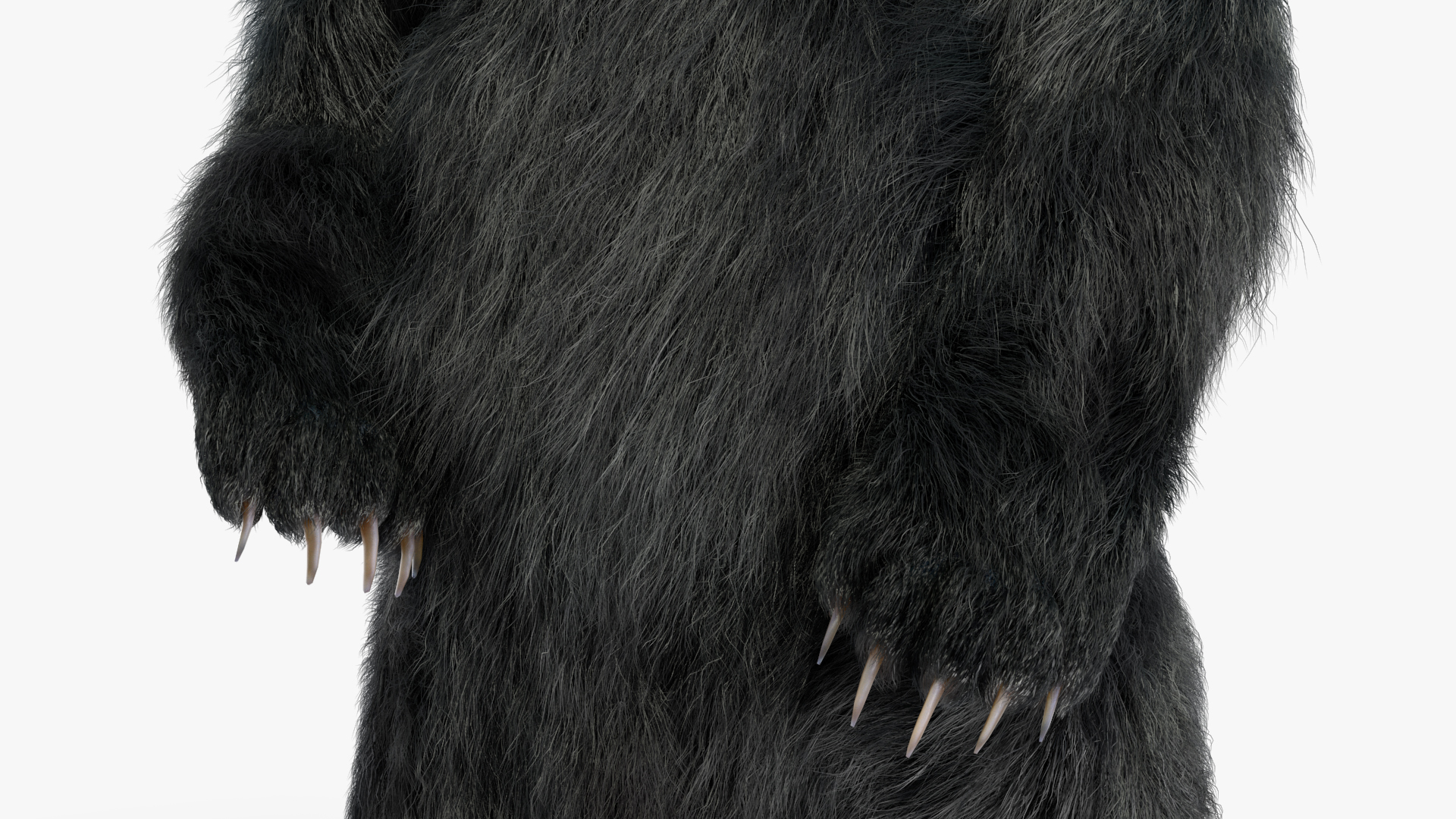 3D Standing Black Bear Fur model