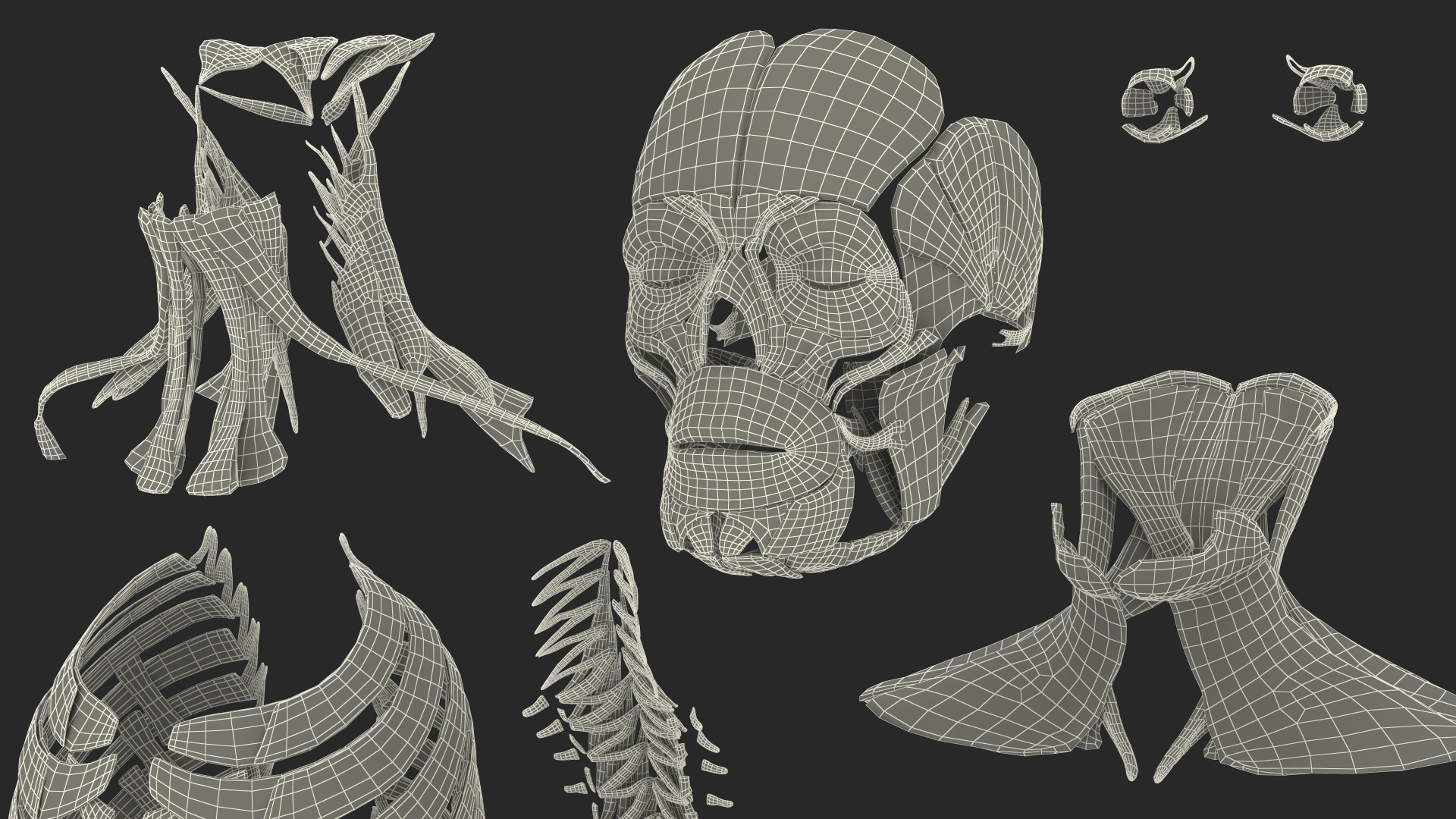 3D model Male Muscular System Full Body